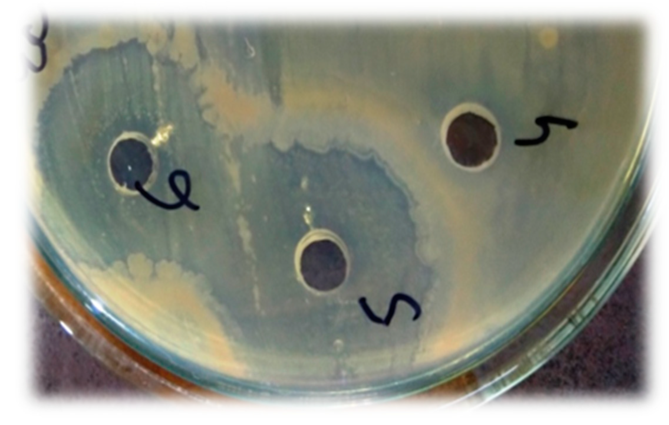 Materials 14 06336 g005