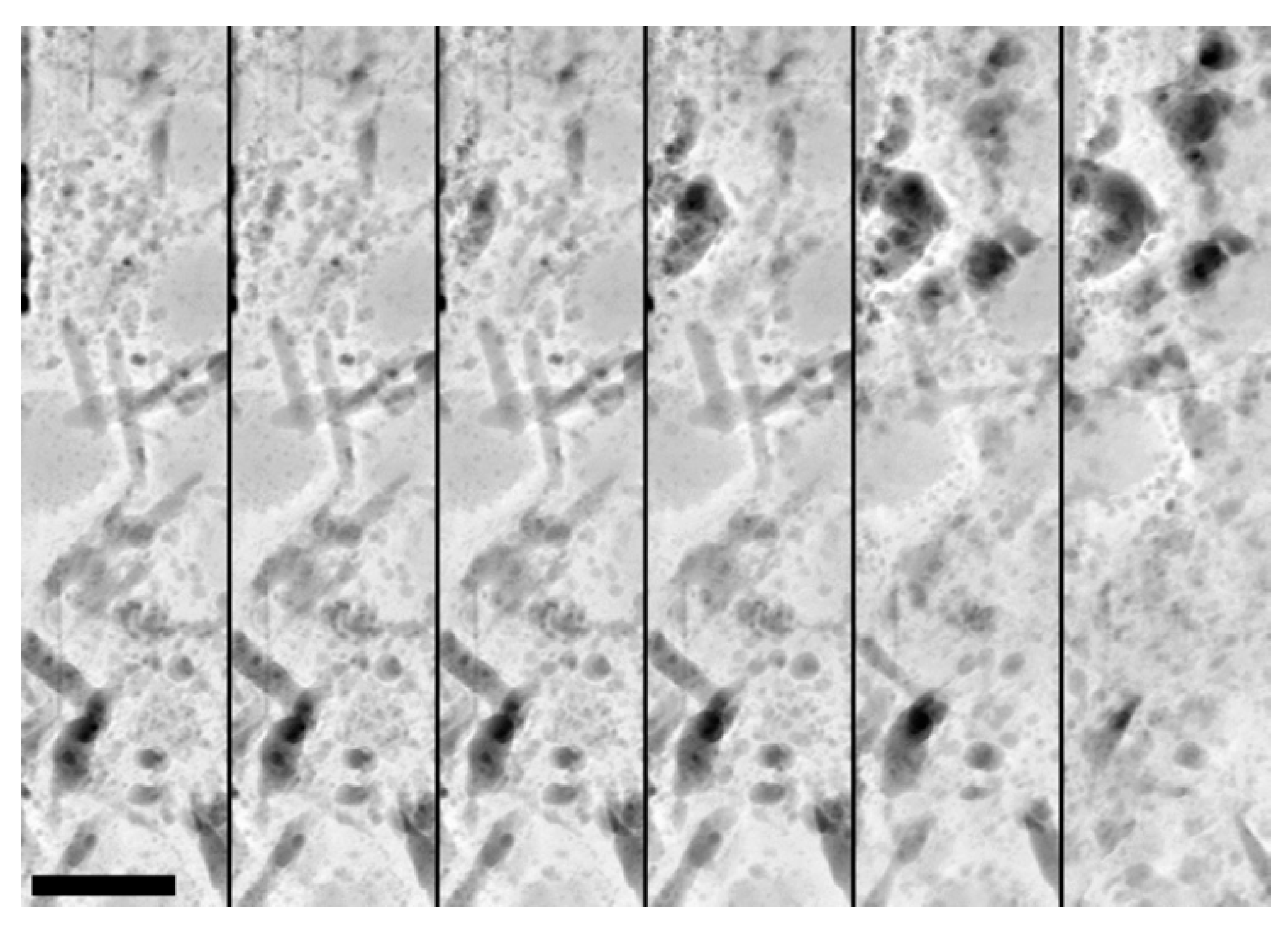 Materials 14 06337 g004