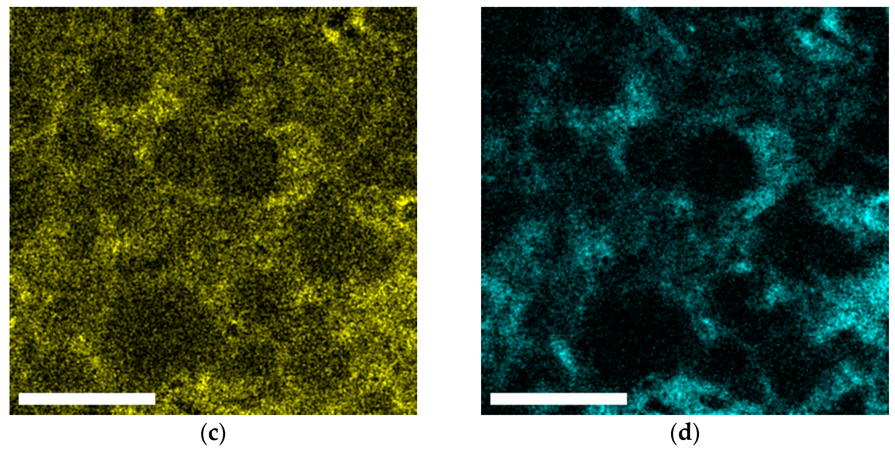 Materials 14 06337 g005b