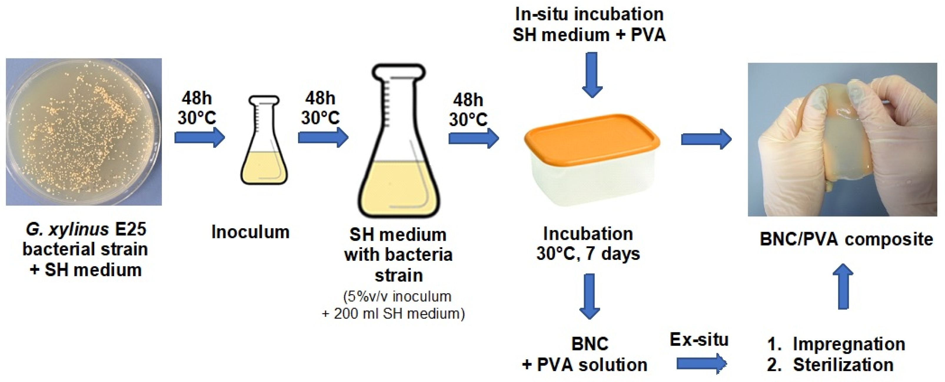 Materials 14 06340 g001