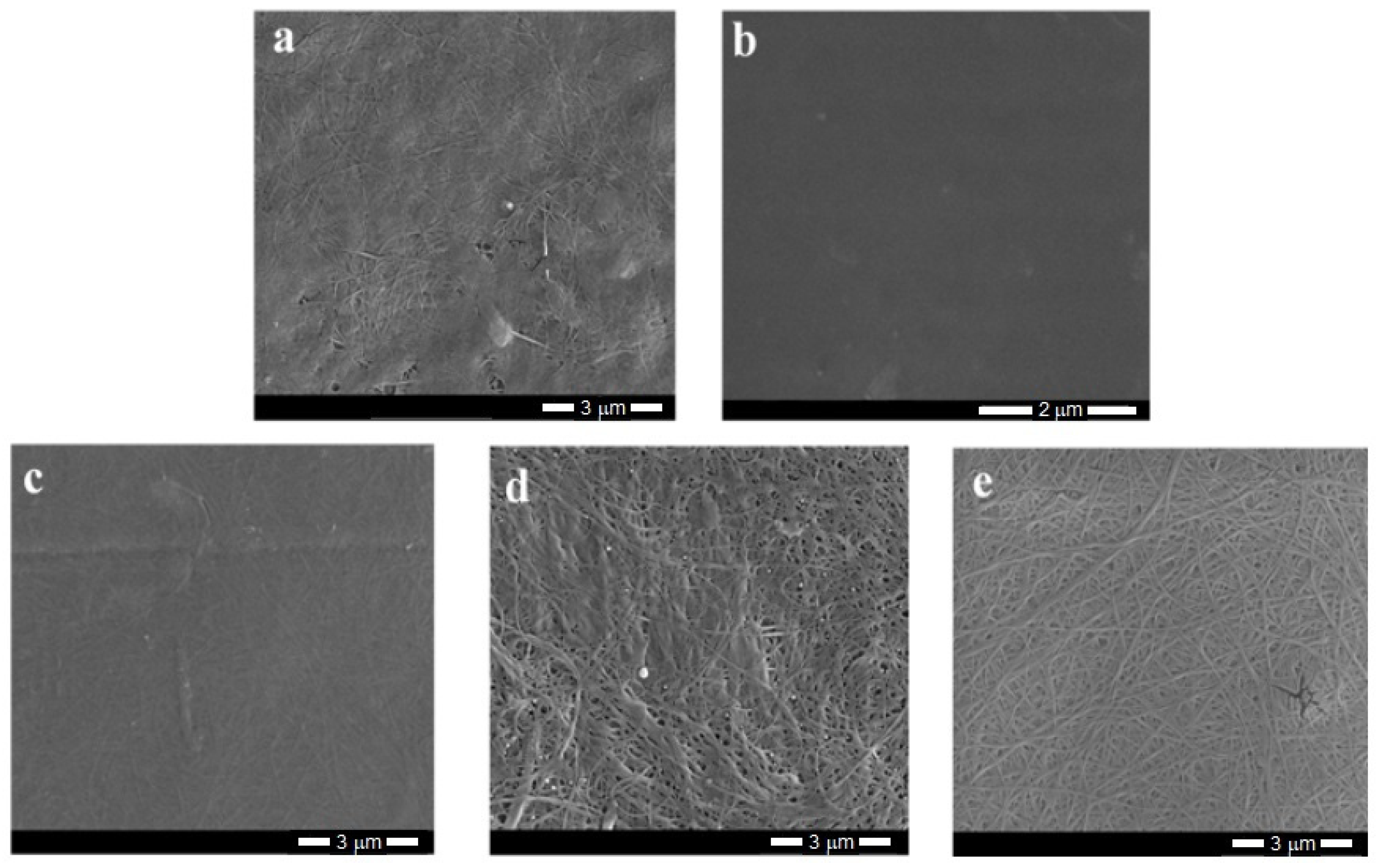 Materials 14 06340 g005