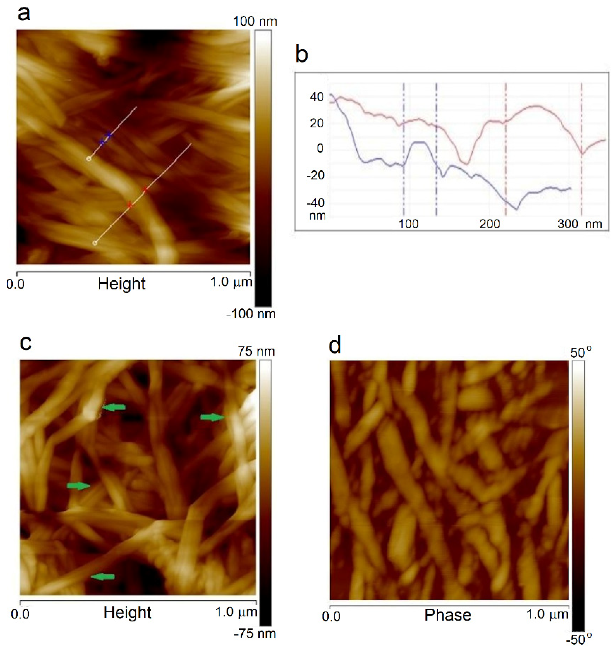 Materials 14 06340 g007