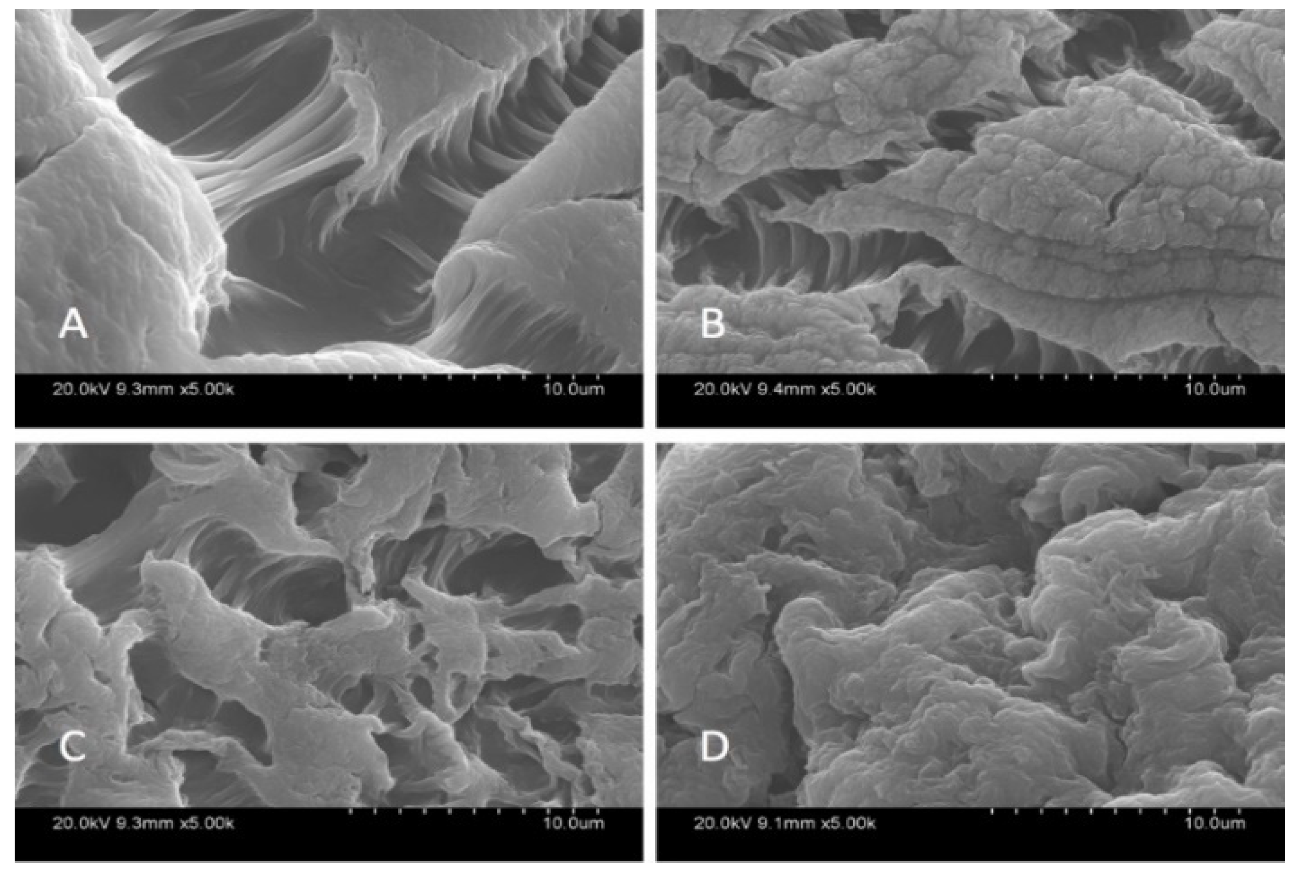 Materials 14 06343 g002