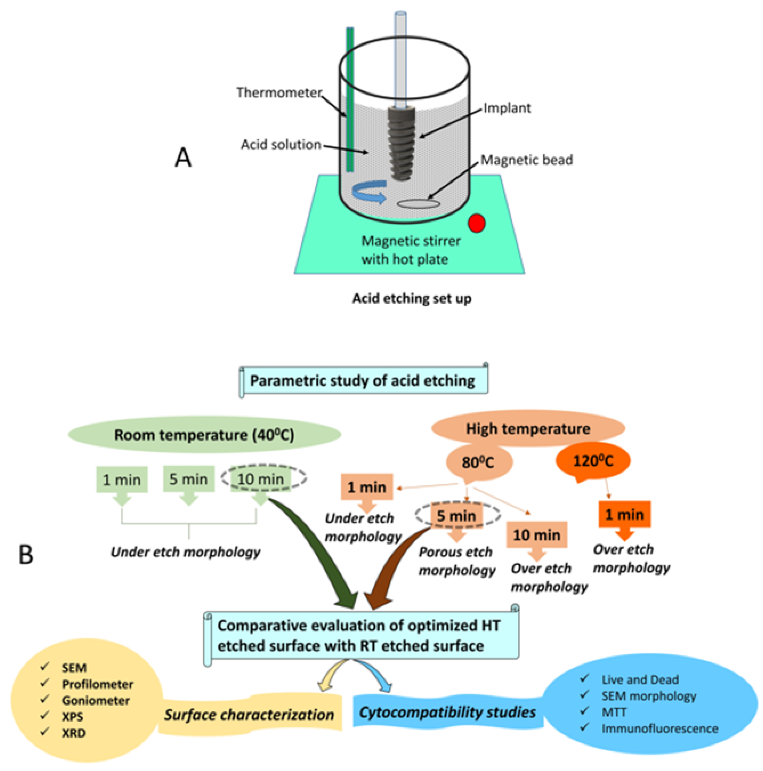 Materials 14 06344 g002
