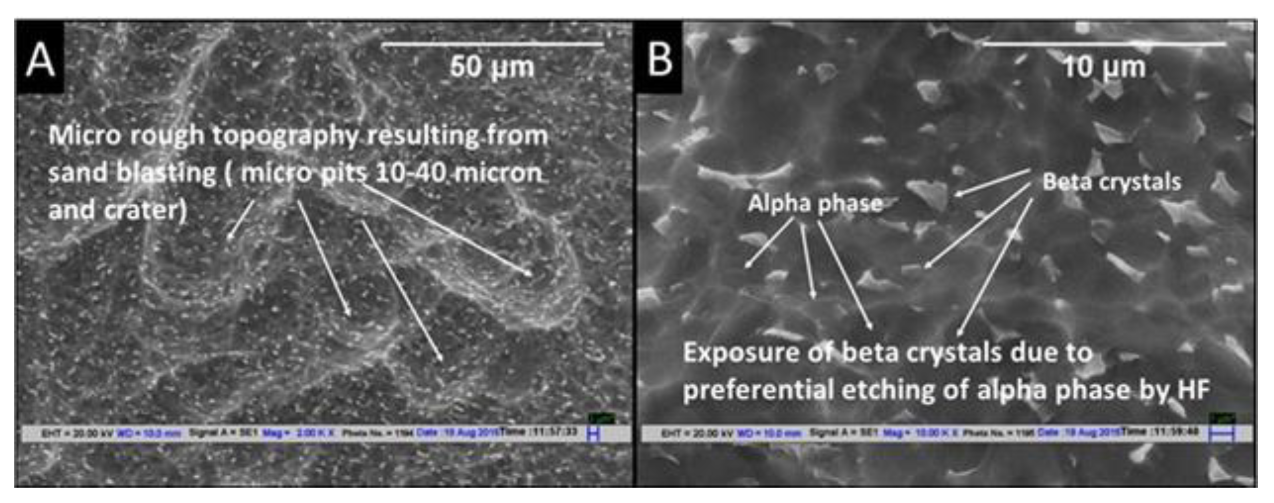 Materials 14 06344 g003