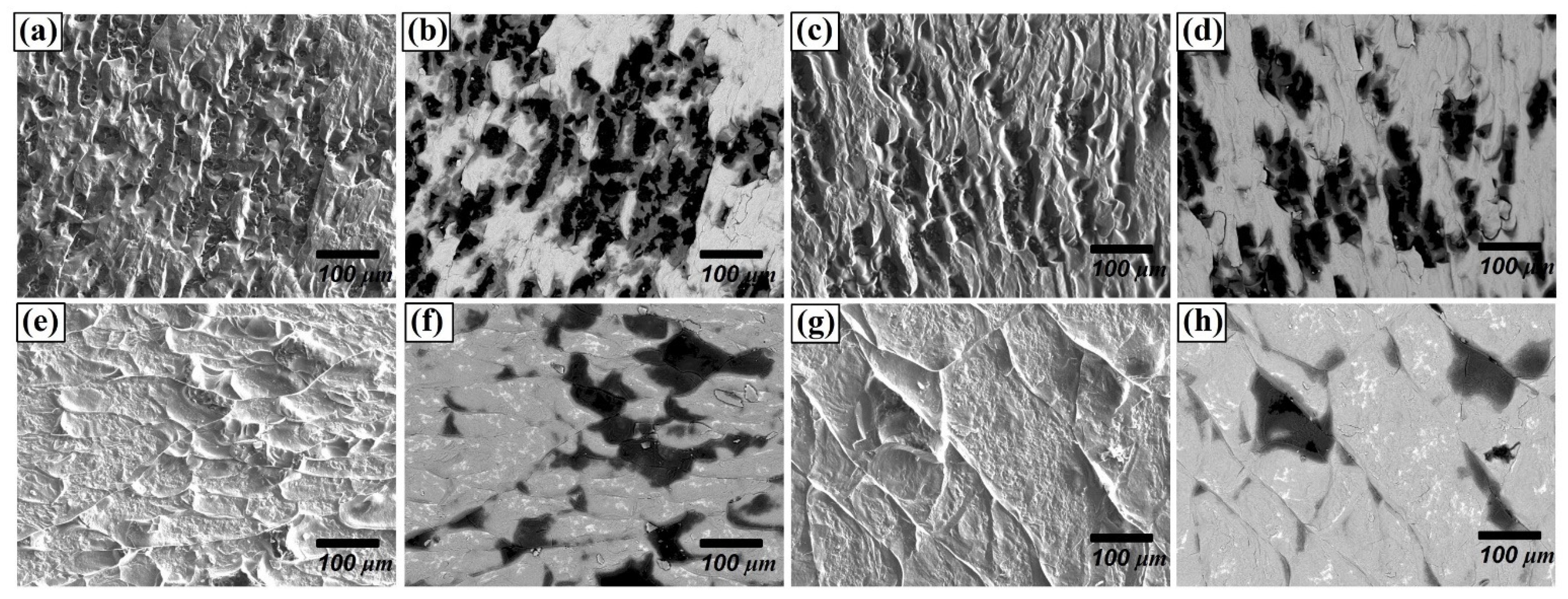 Materials 14 06348 g008