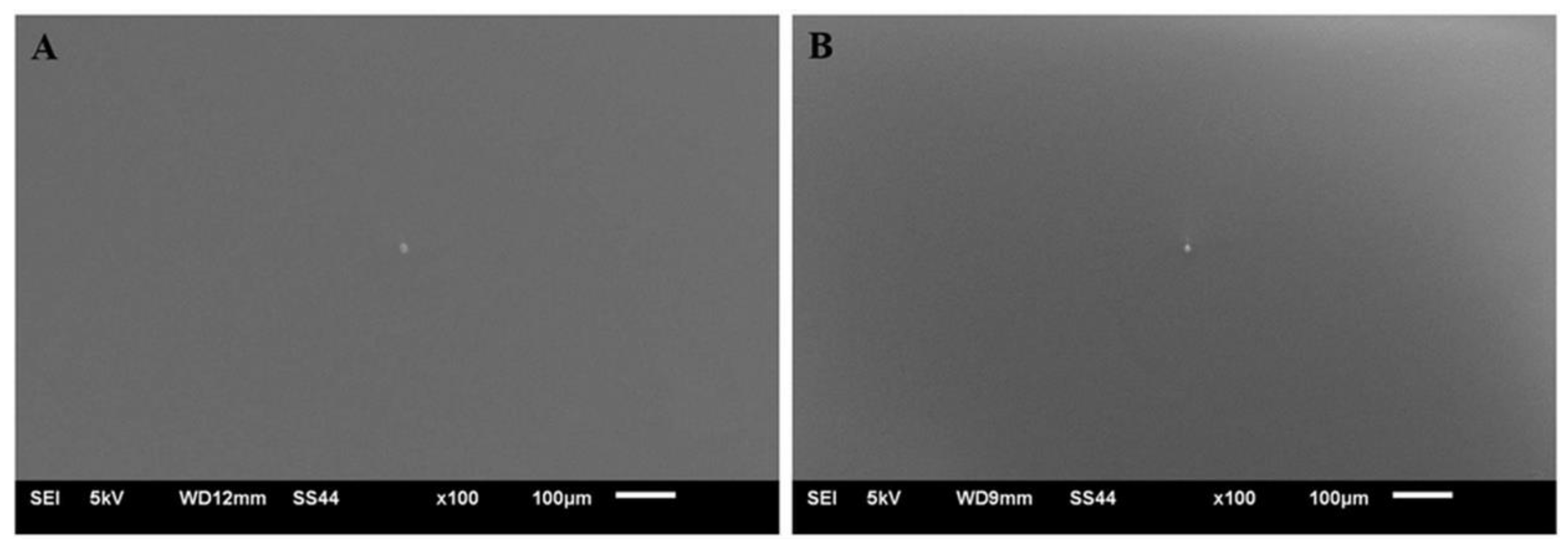 Materials 14 06350 g002