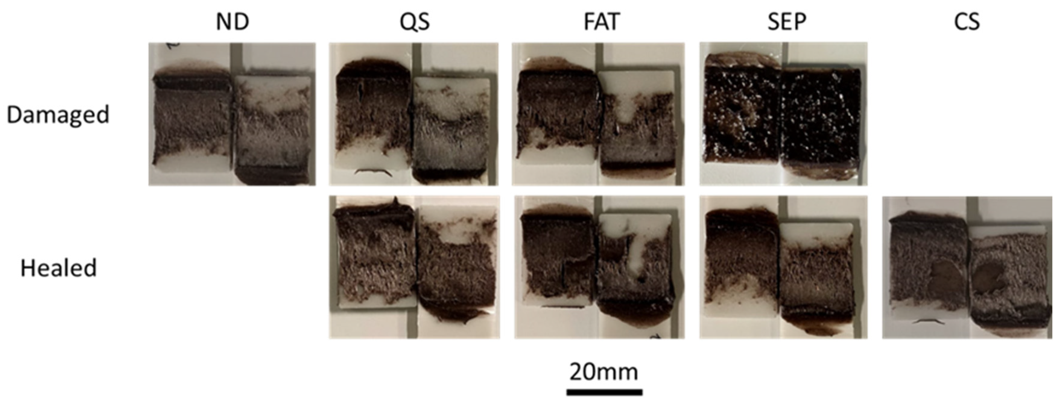 Materials 14 06351 g004