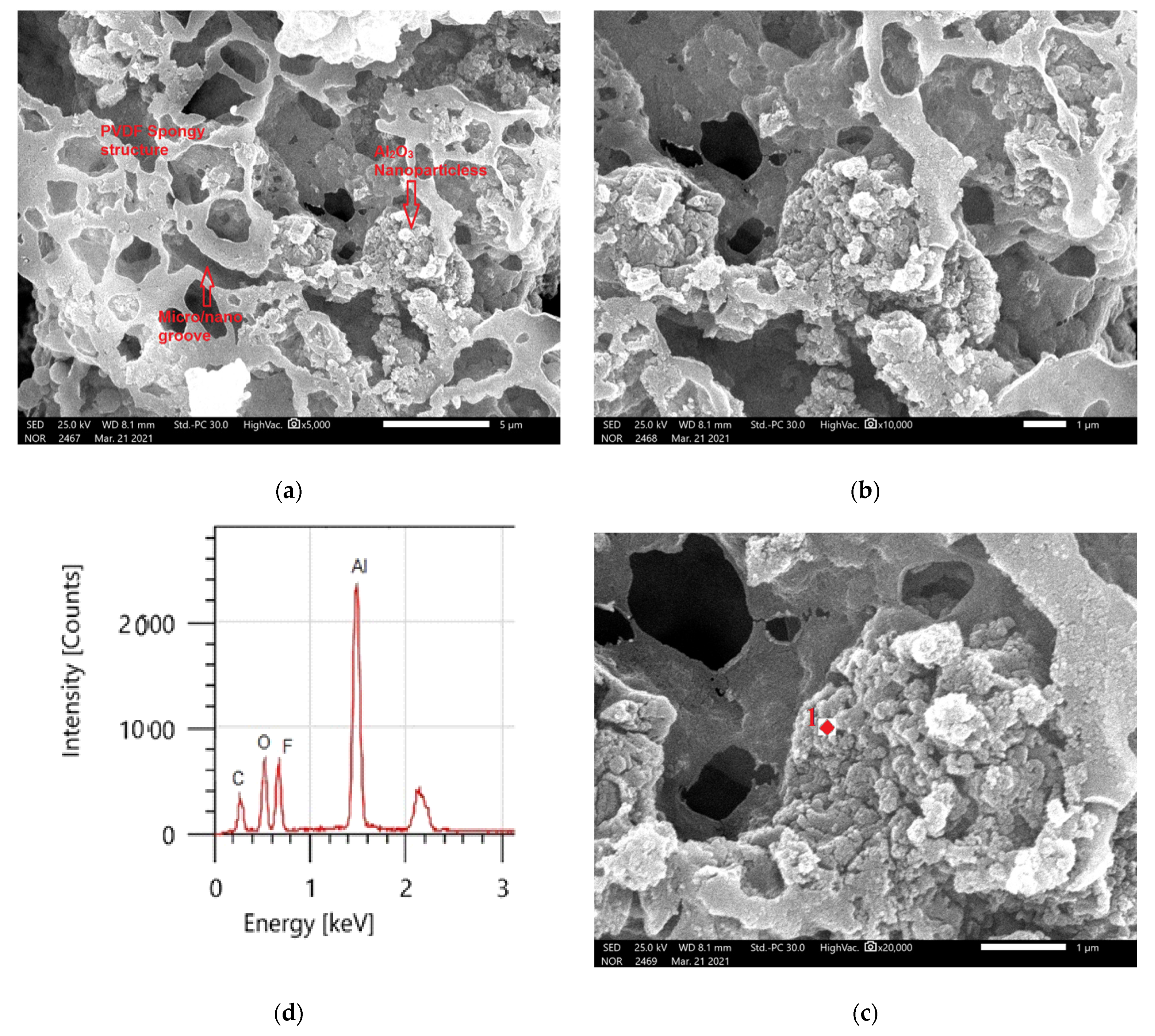 Materials 14 06358 g008