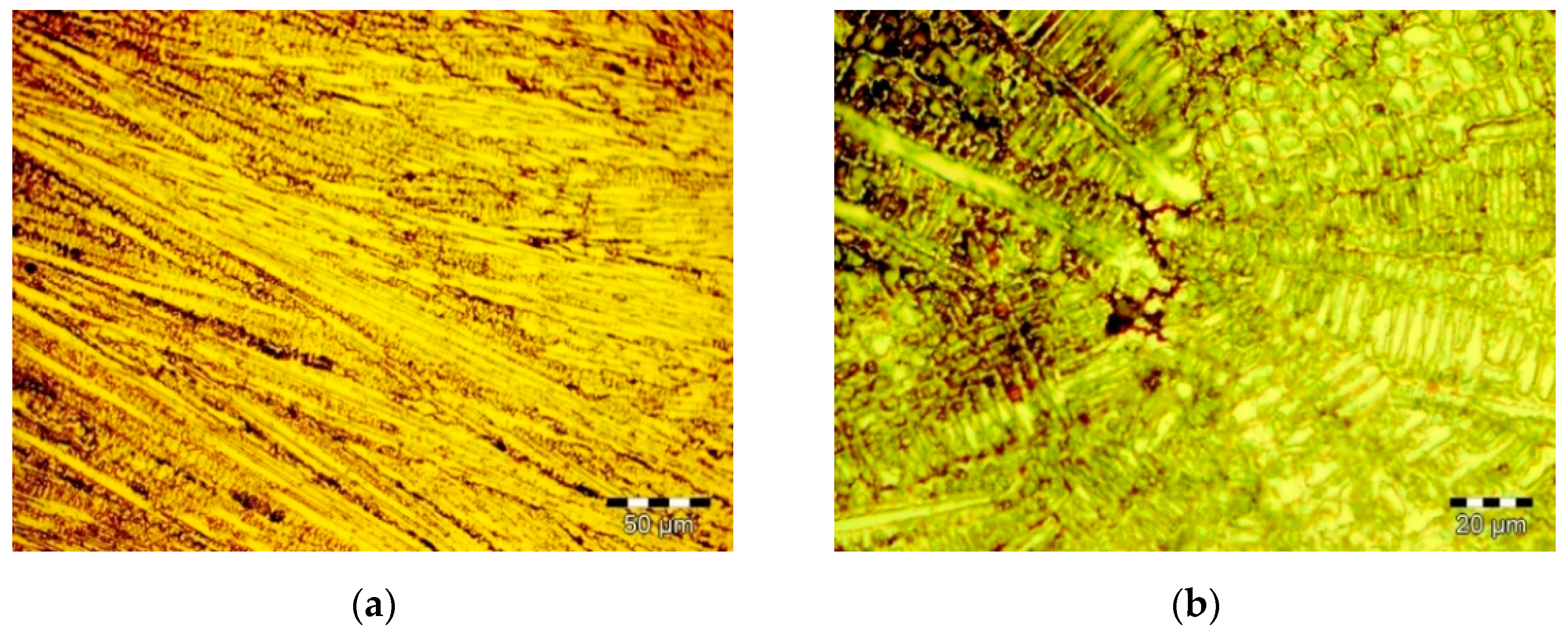 Materials 14 06361 g001