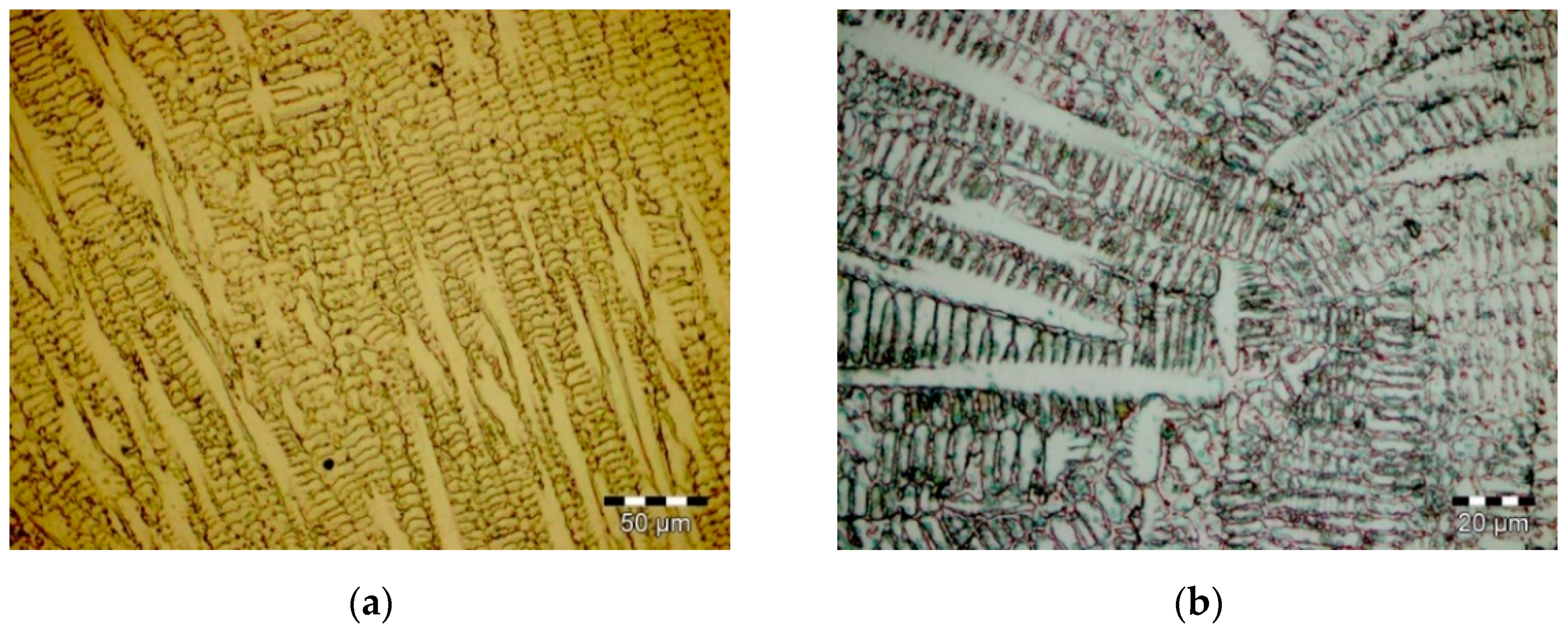 Materials 14 06361 g002