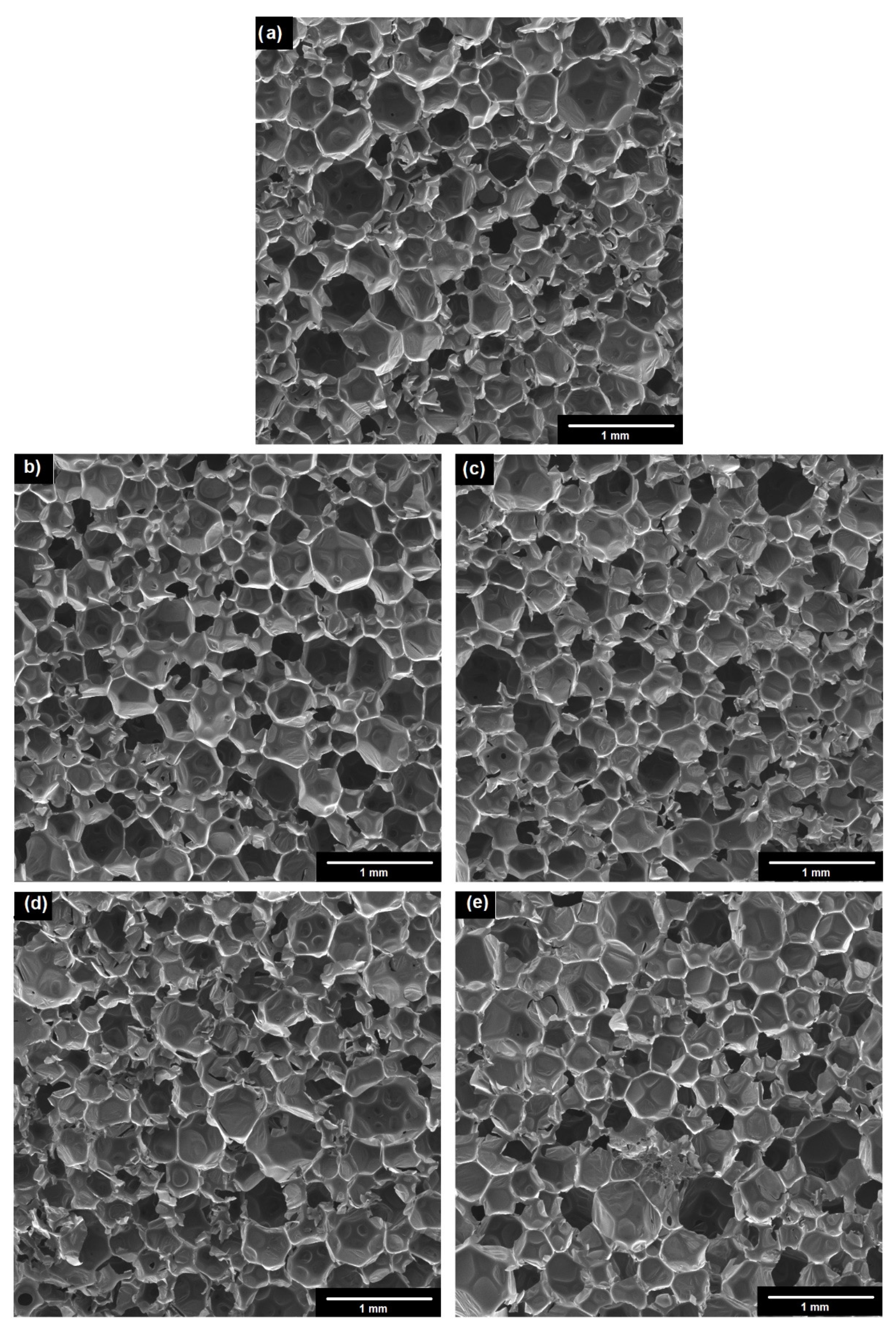 Materials 14 06363 g010