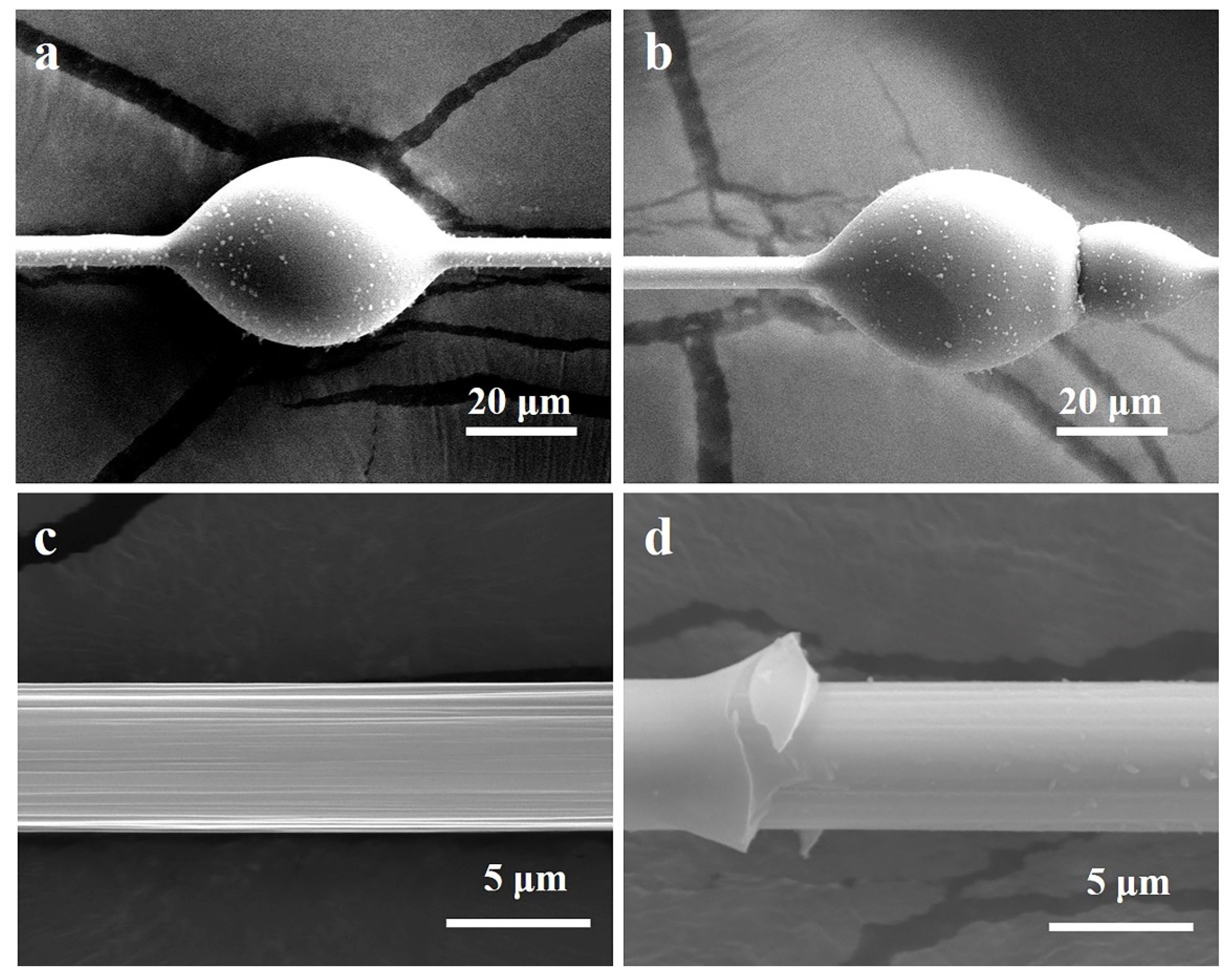 Materials 14 06367 g011