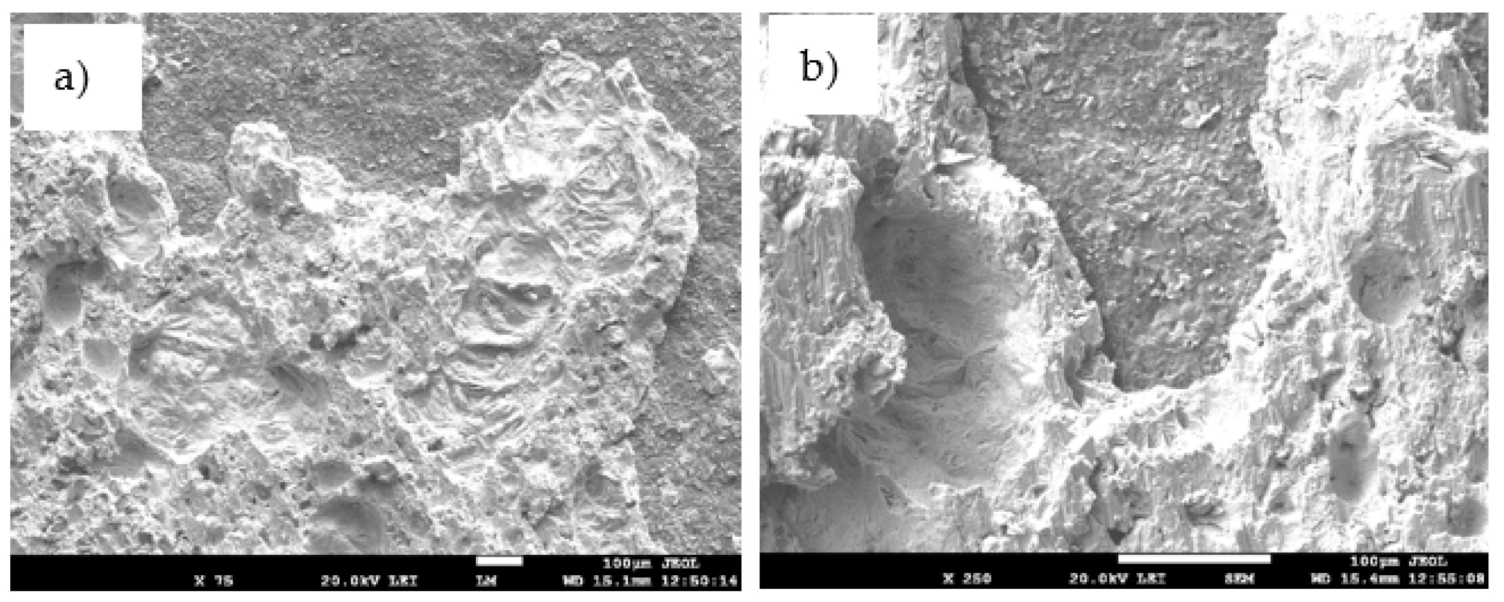 Materials 14 06369 g025