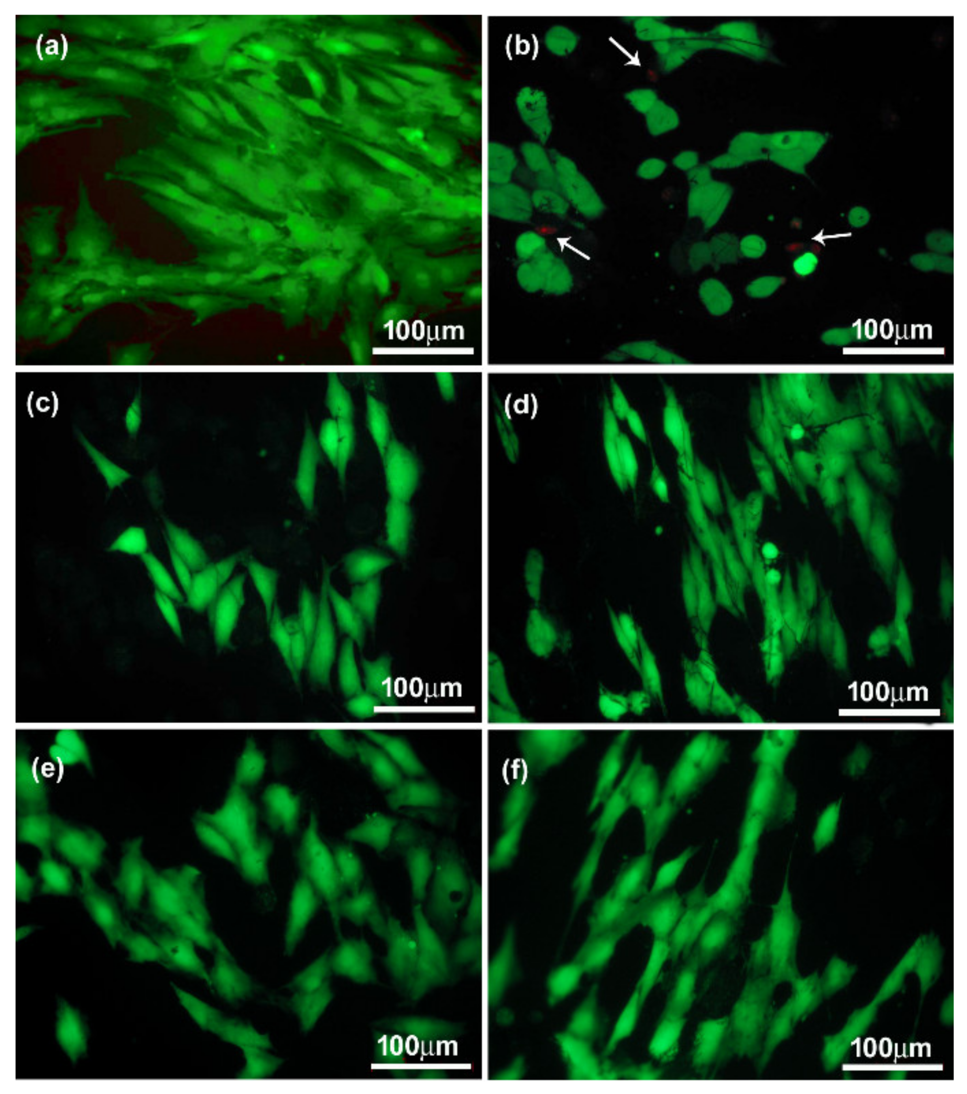 Materials 14 06370 g010