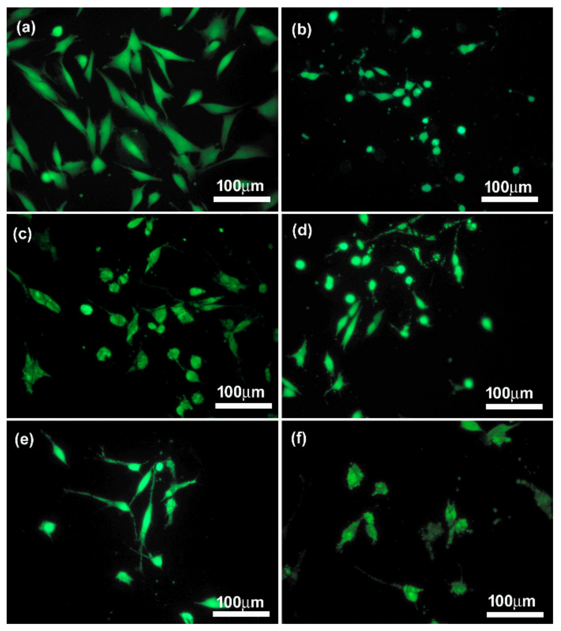 Materials 14 06370 g011