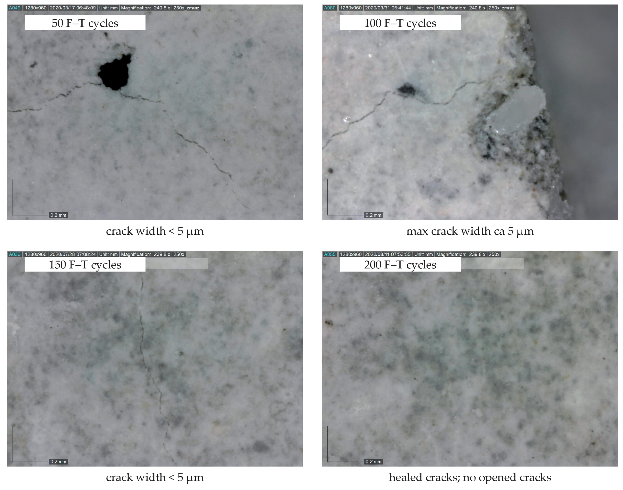 Materials 14 06378 g007