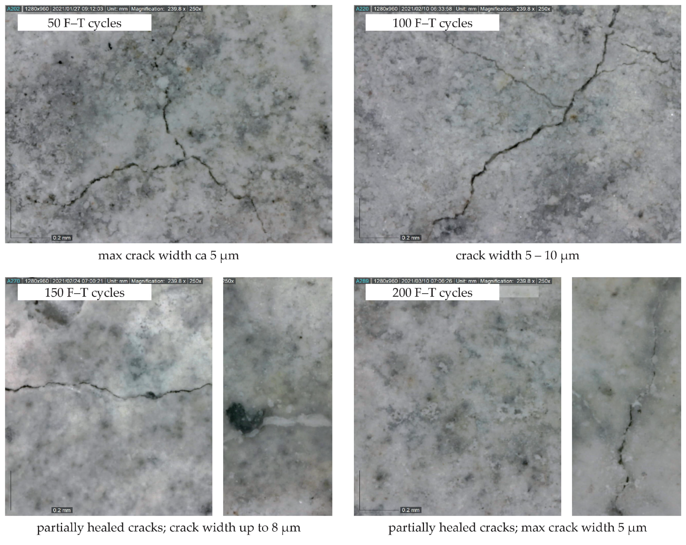 Materials 14 06378 g008