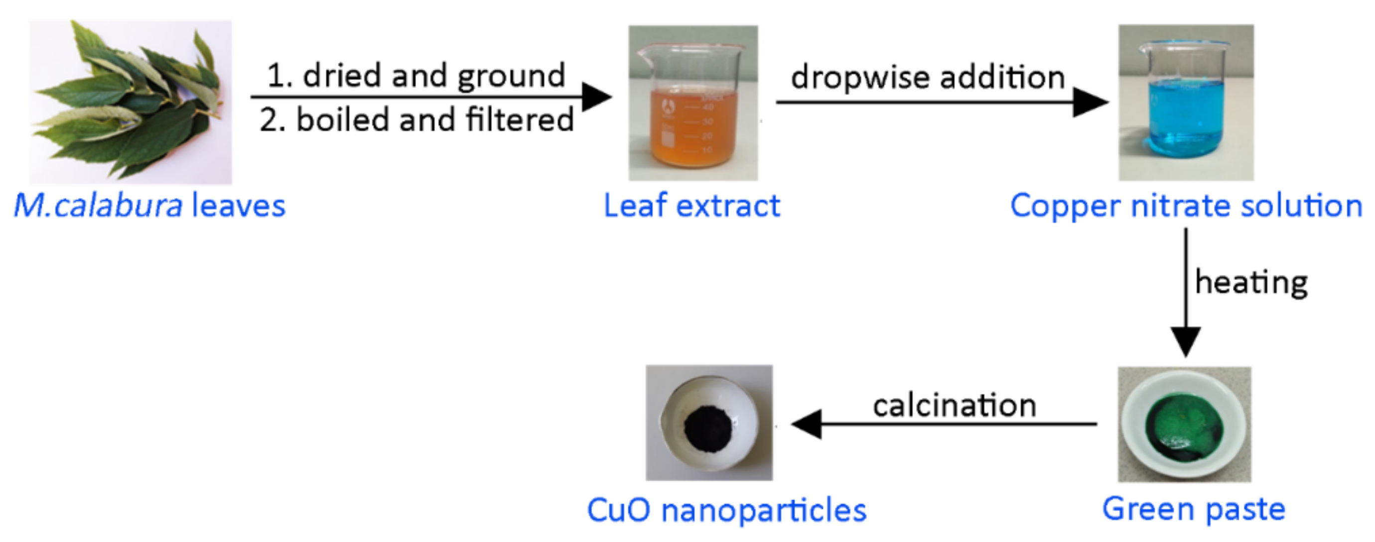 Materials 14 06379 g001