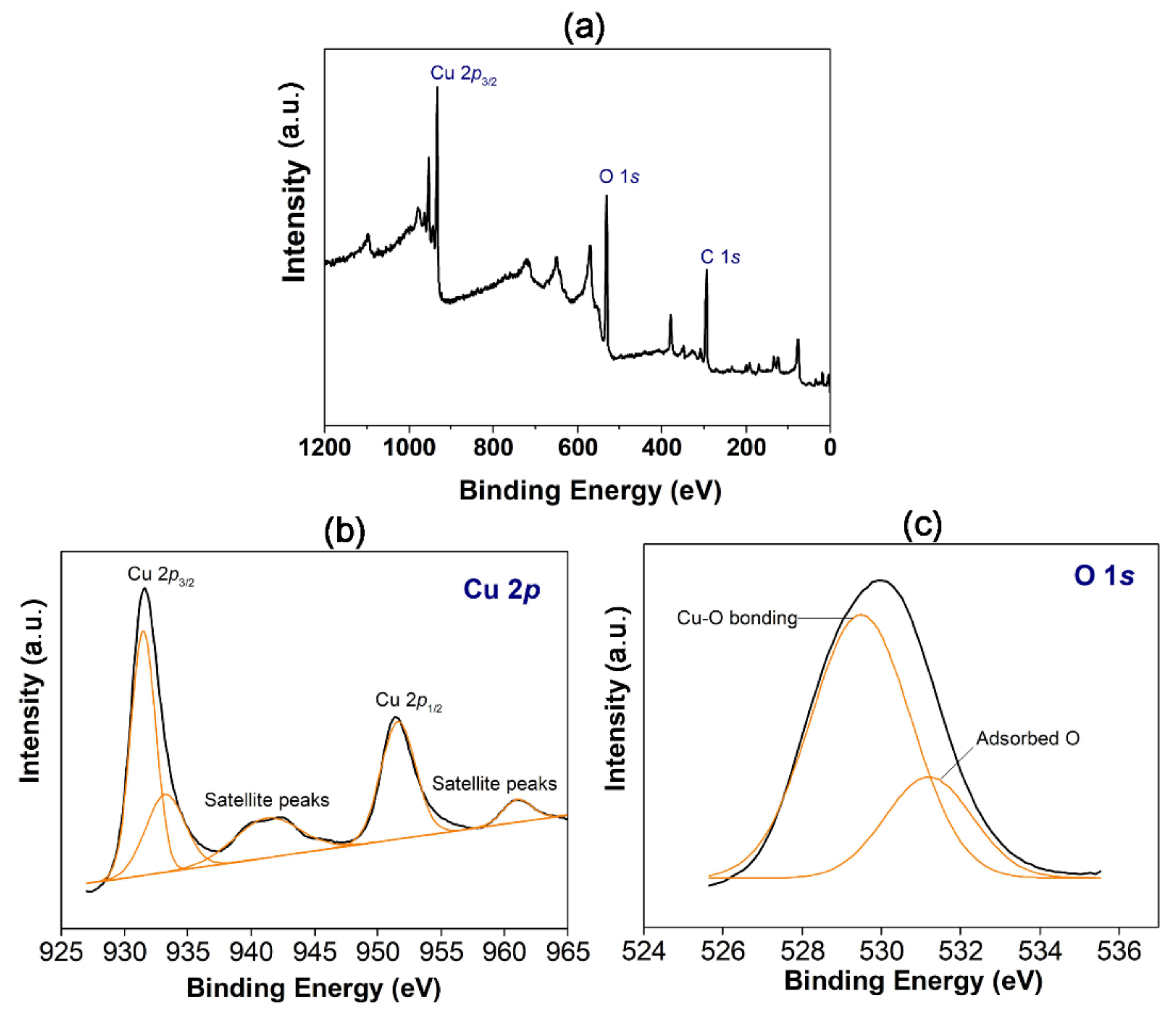 Materials 14 06379 g004