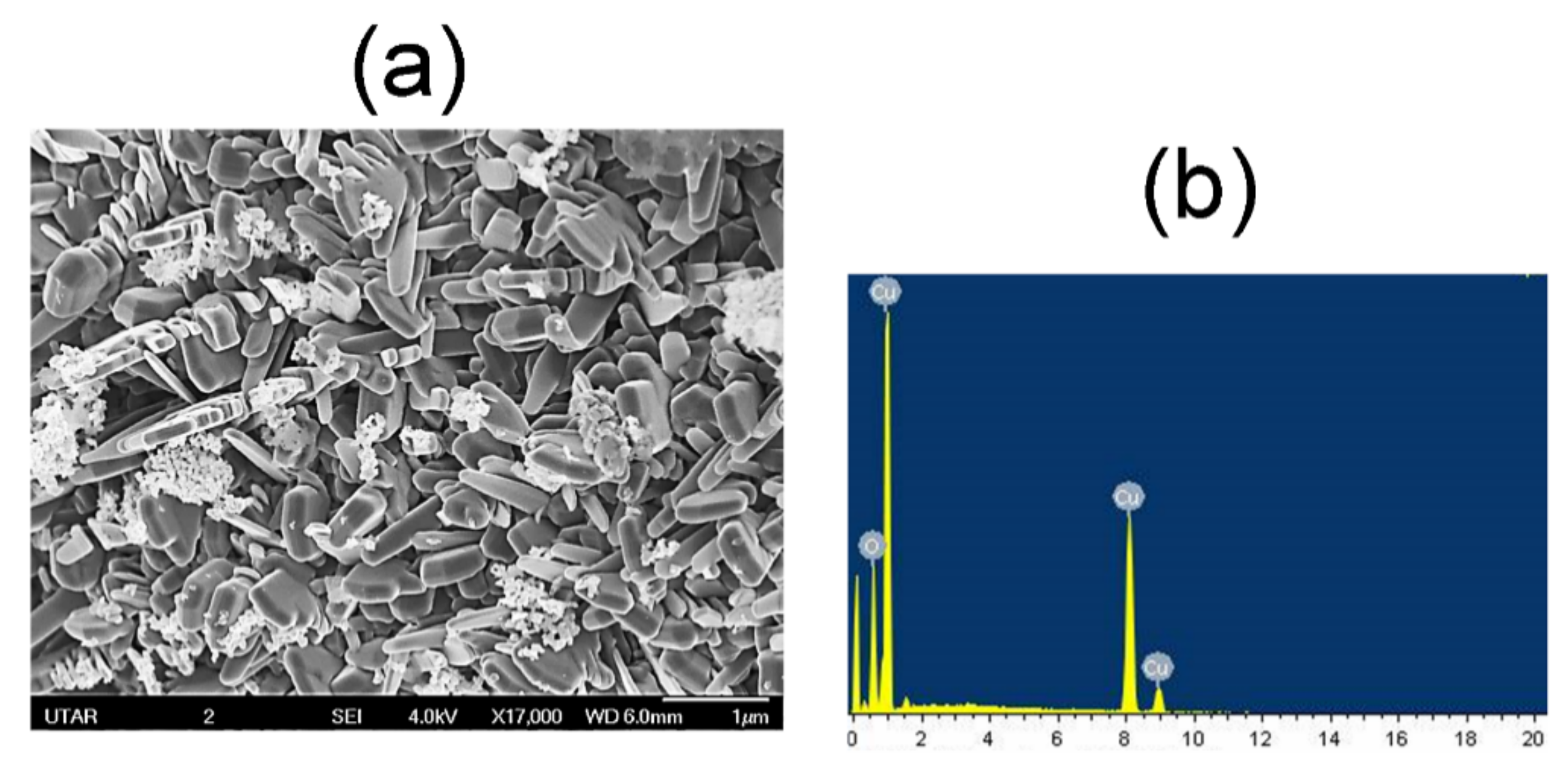 Materials 14 06379 g006