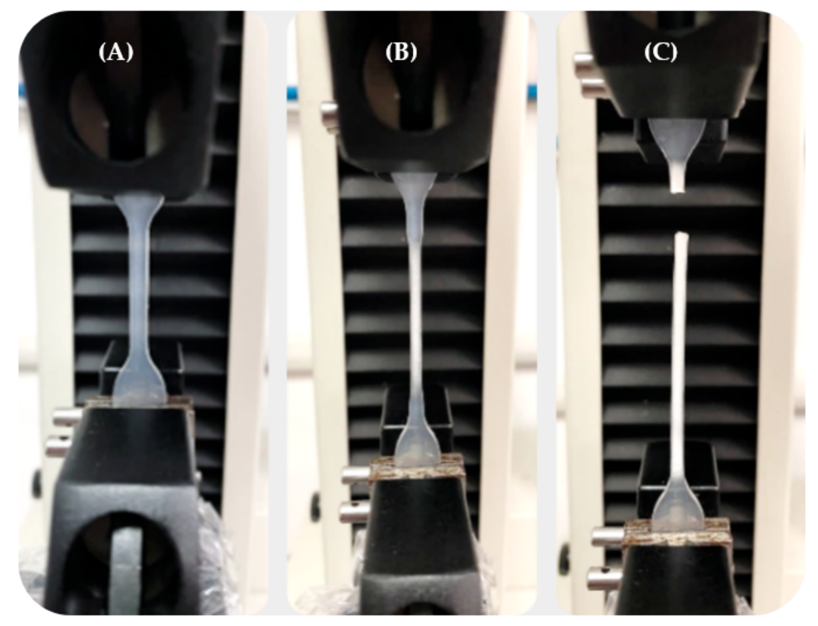 Materials 14 06381 g001