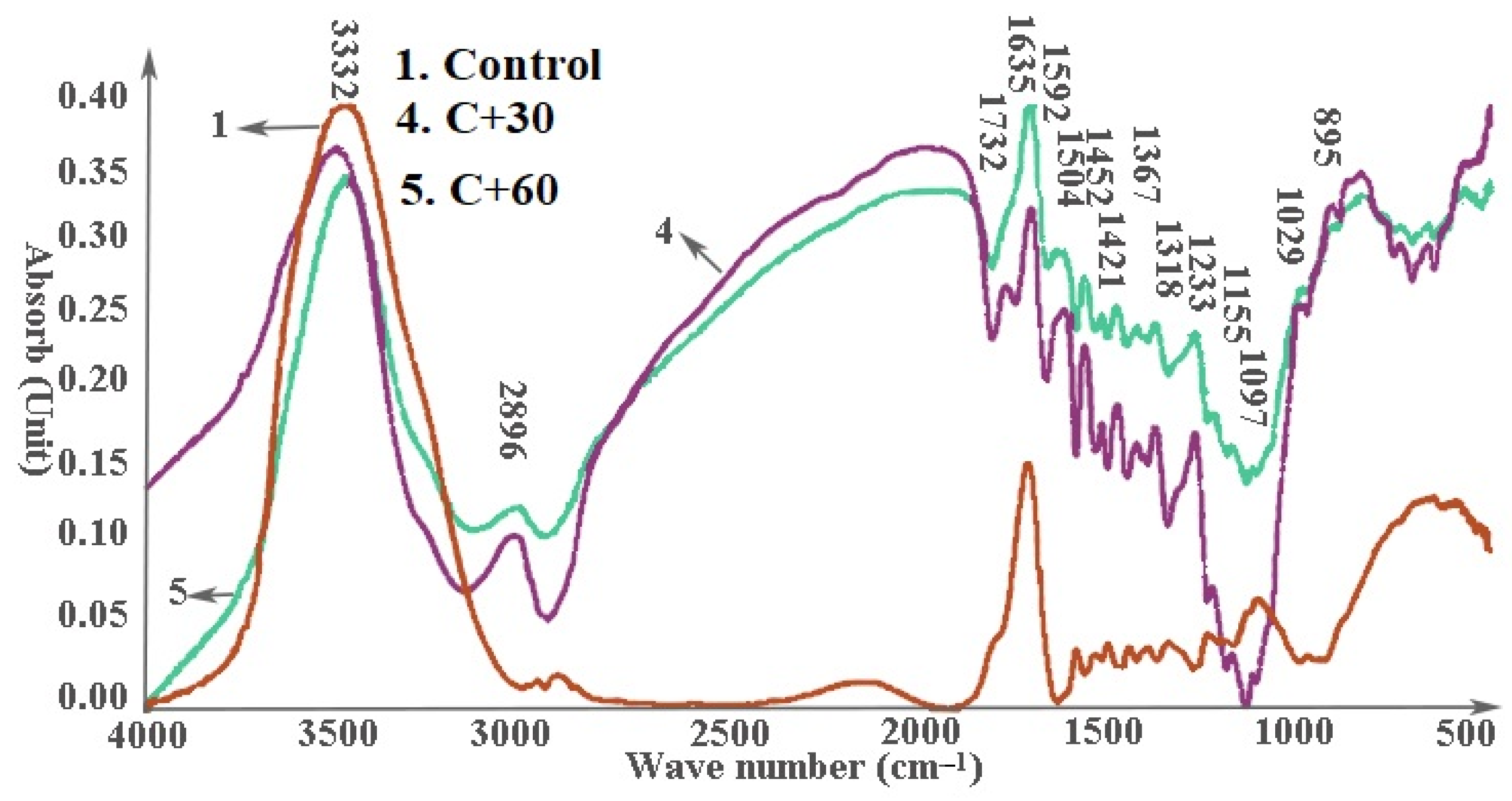 Materials 14 06384 g007
