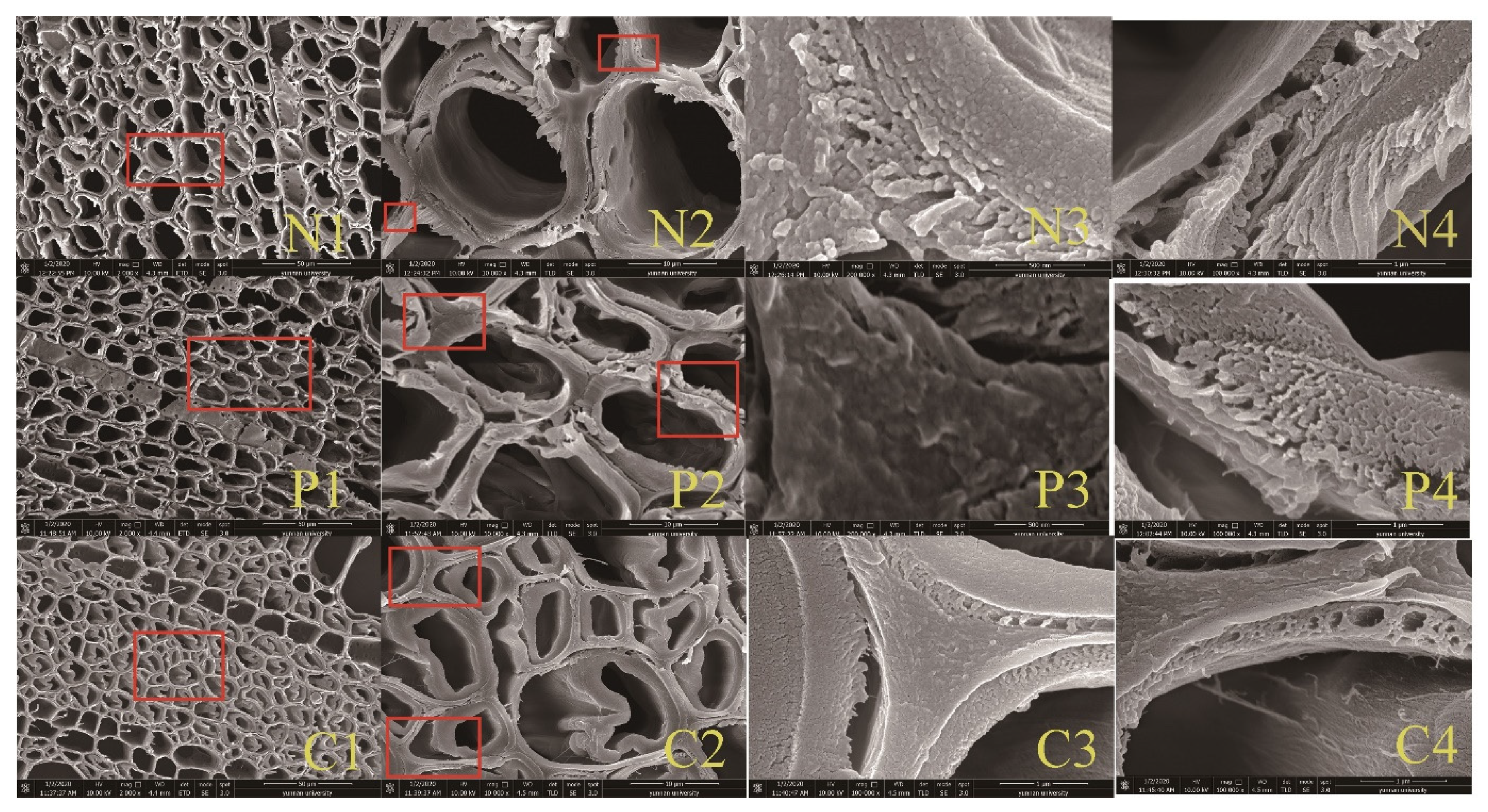 Materials 14 06384 g009