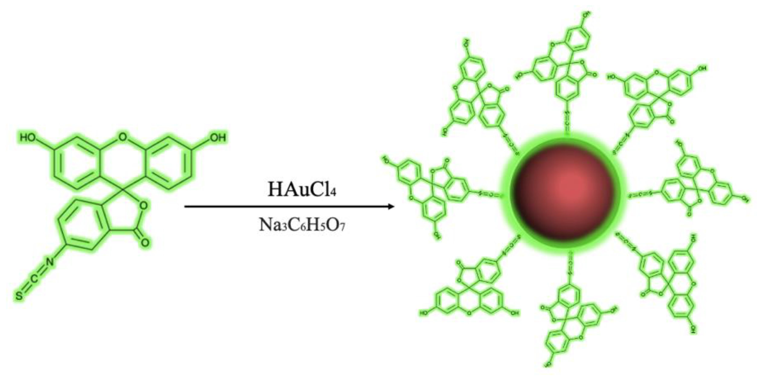 Materials 14 06390 g001