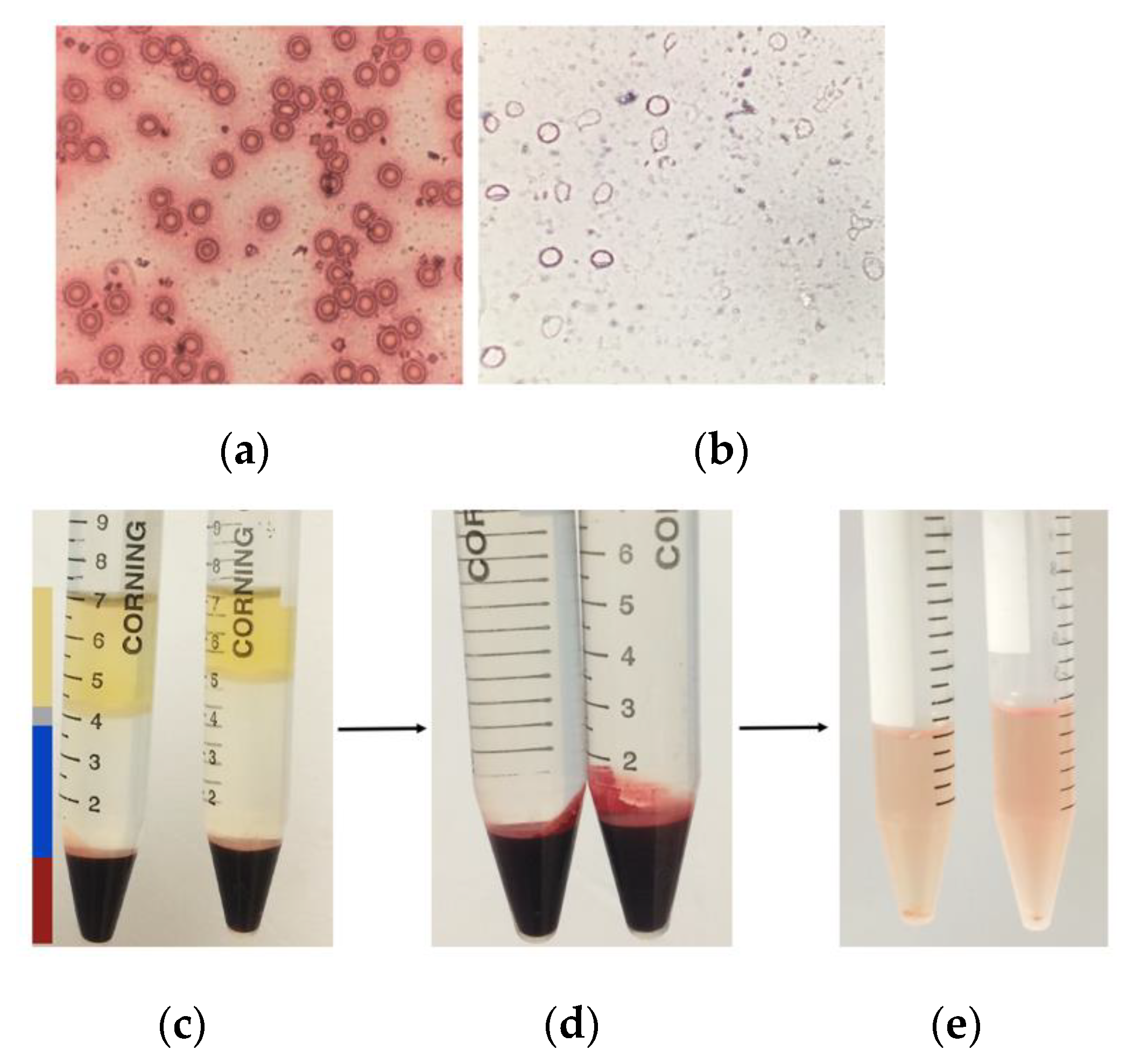 Materials 14 06390 g011