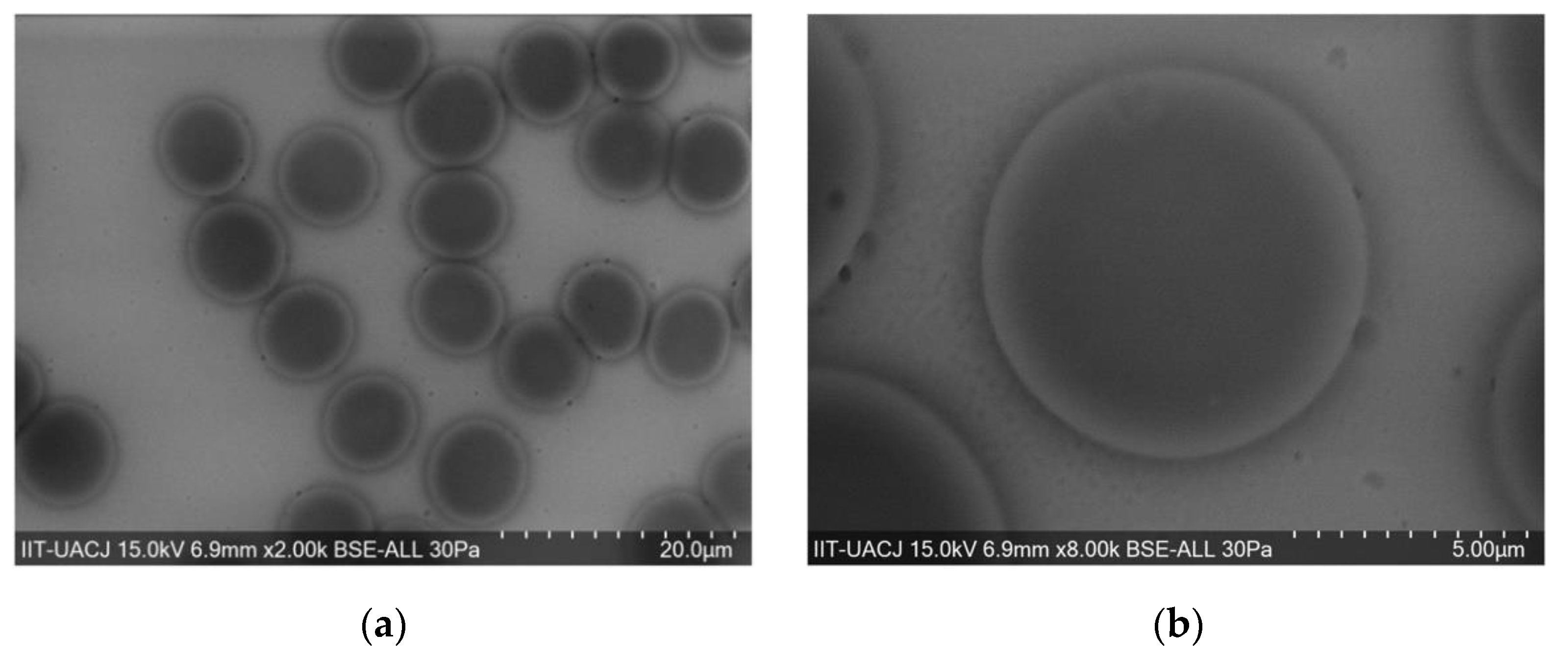 Materials 14 06390 g013a