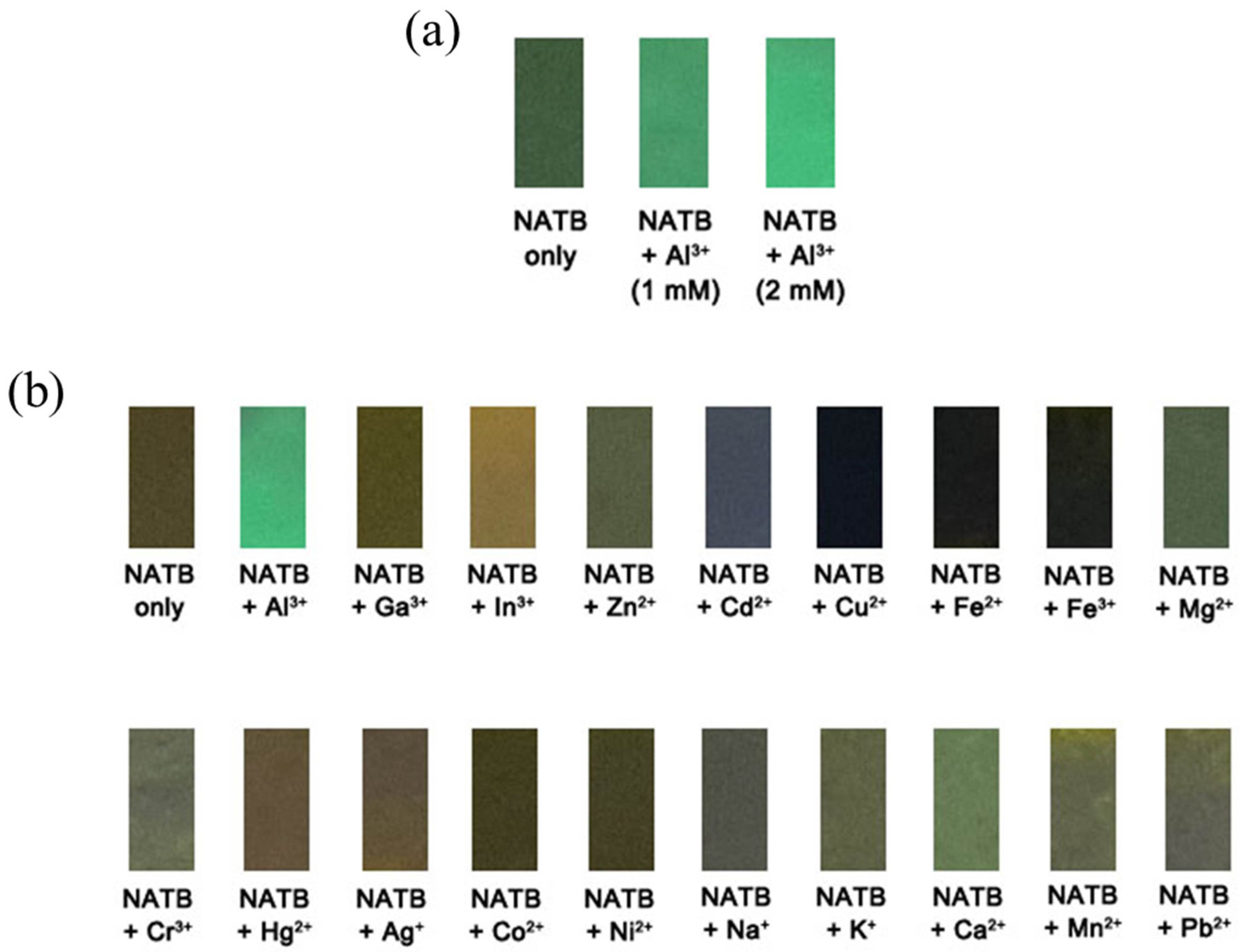 Materials 14 06392 g005