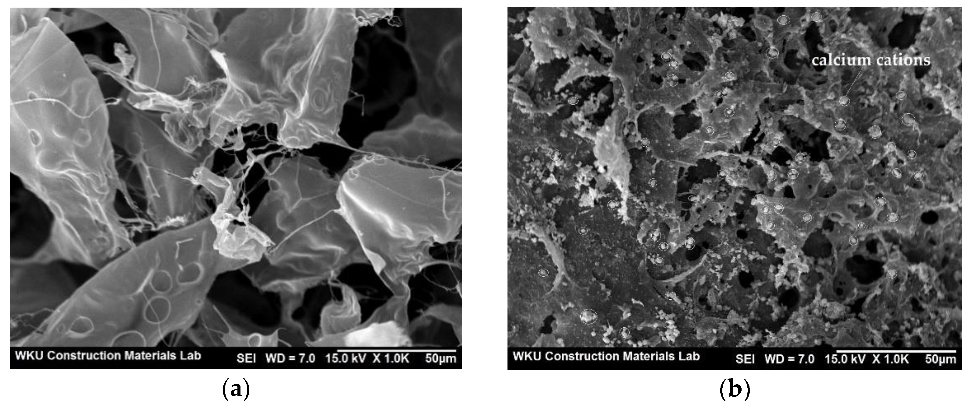 Materials 14 06395 g005