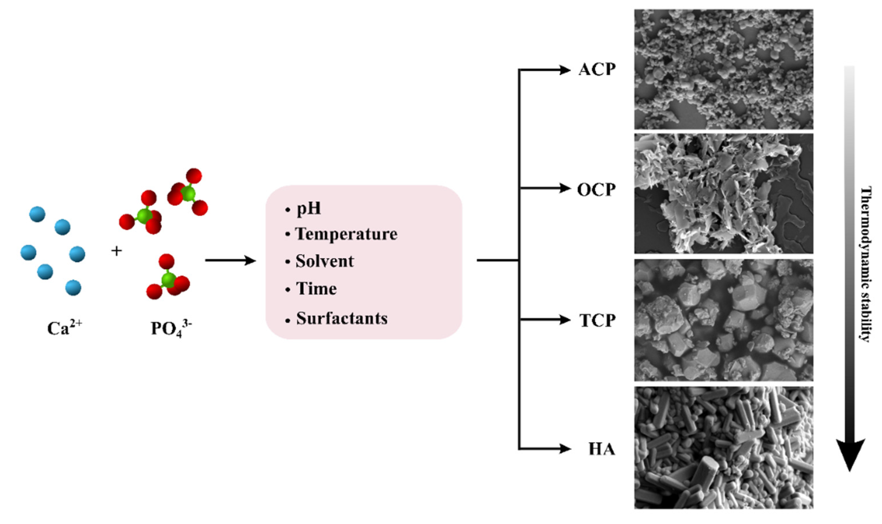 Materials 14 06398 g002