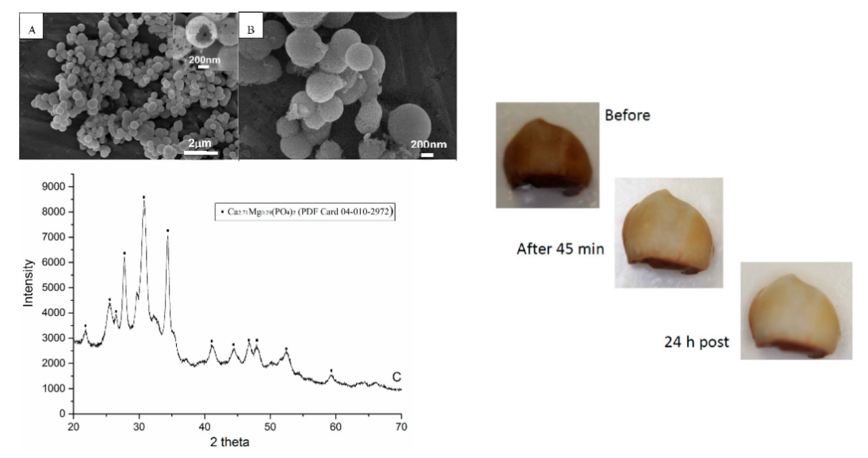 Materials 14 06398 g006
