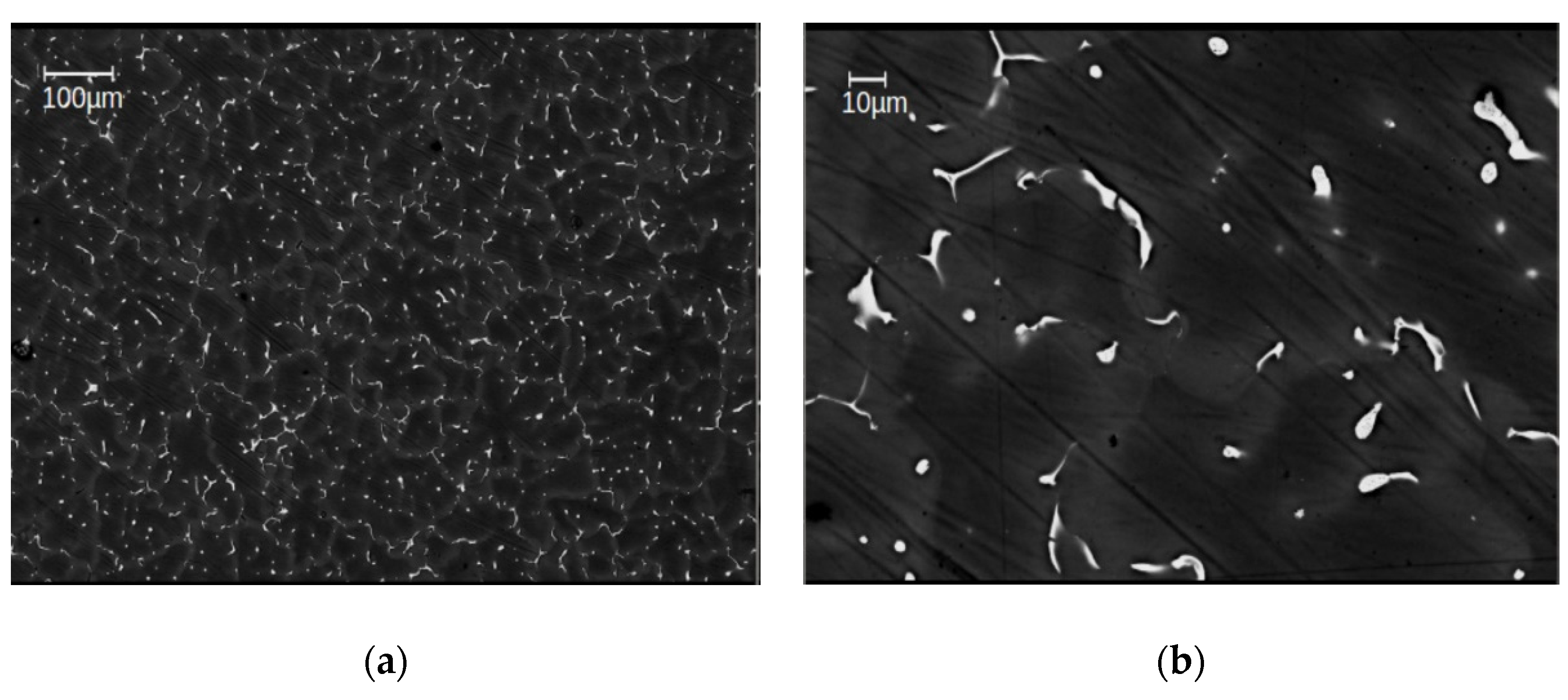 Materials 14 06399 g002