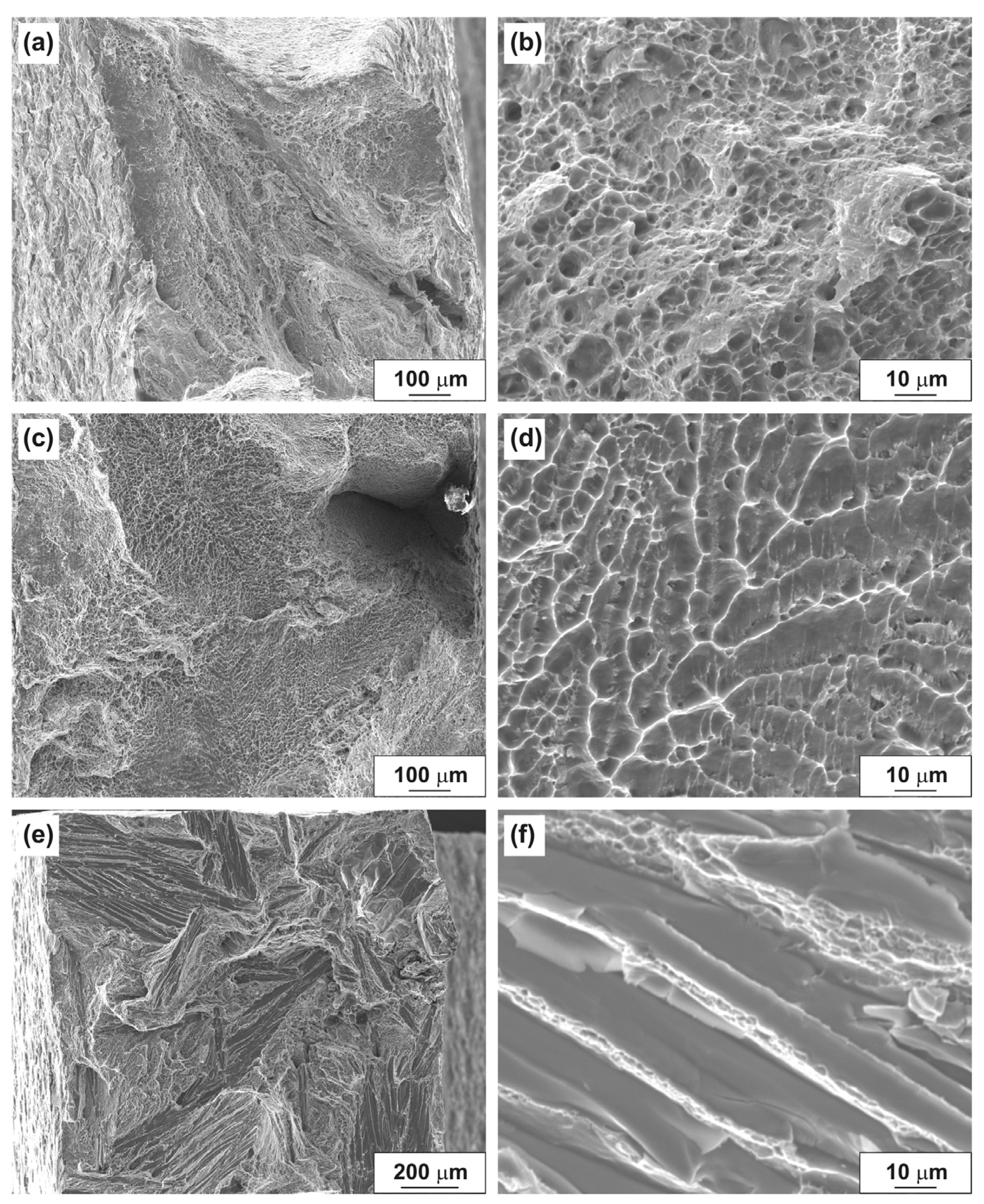 Materials 14 06404 g010