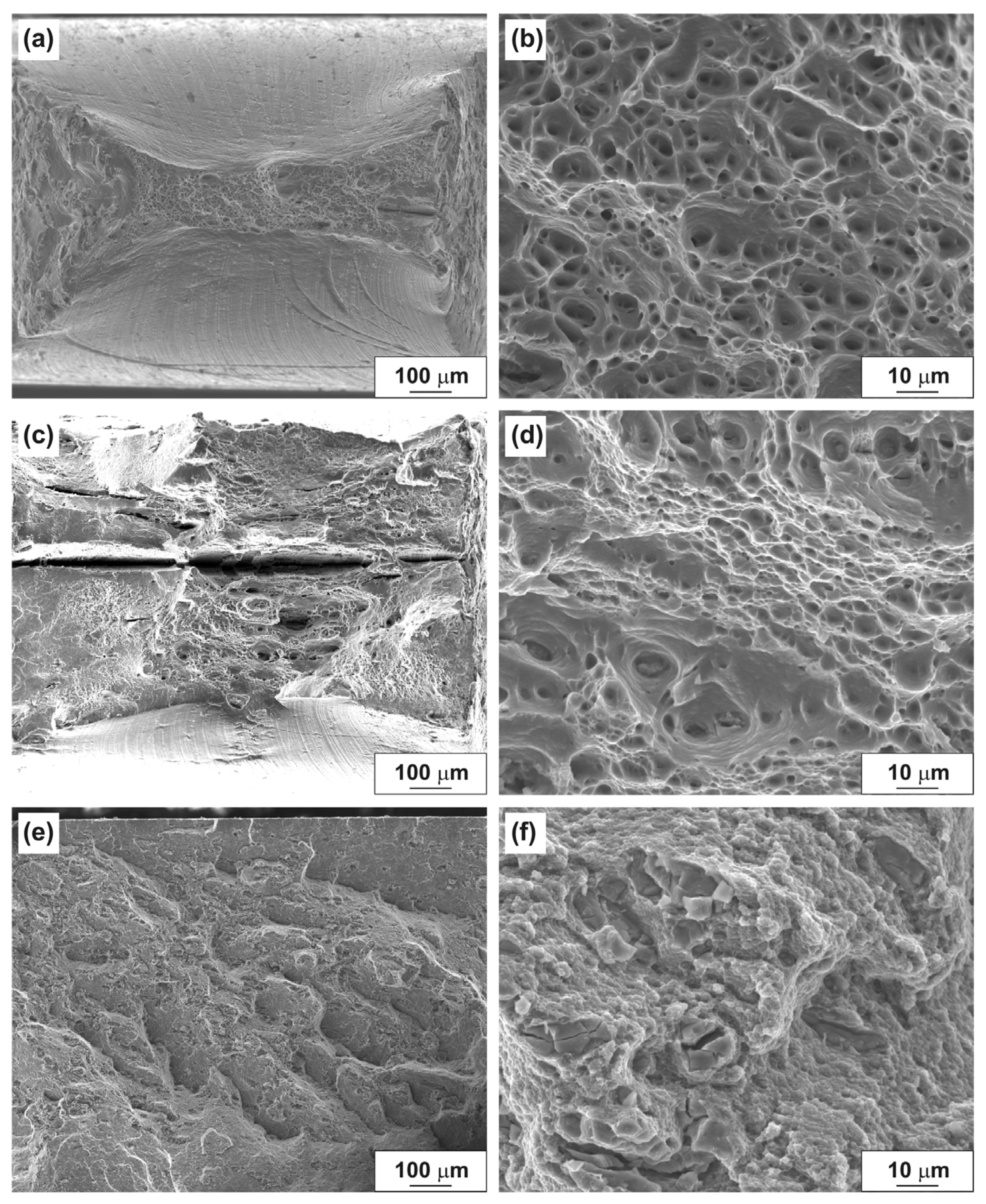 Materials 14 06404 g011