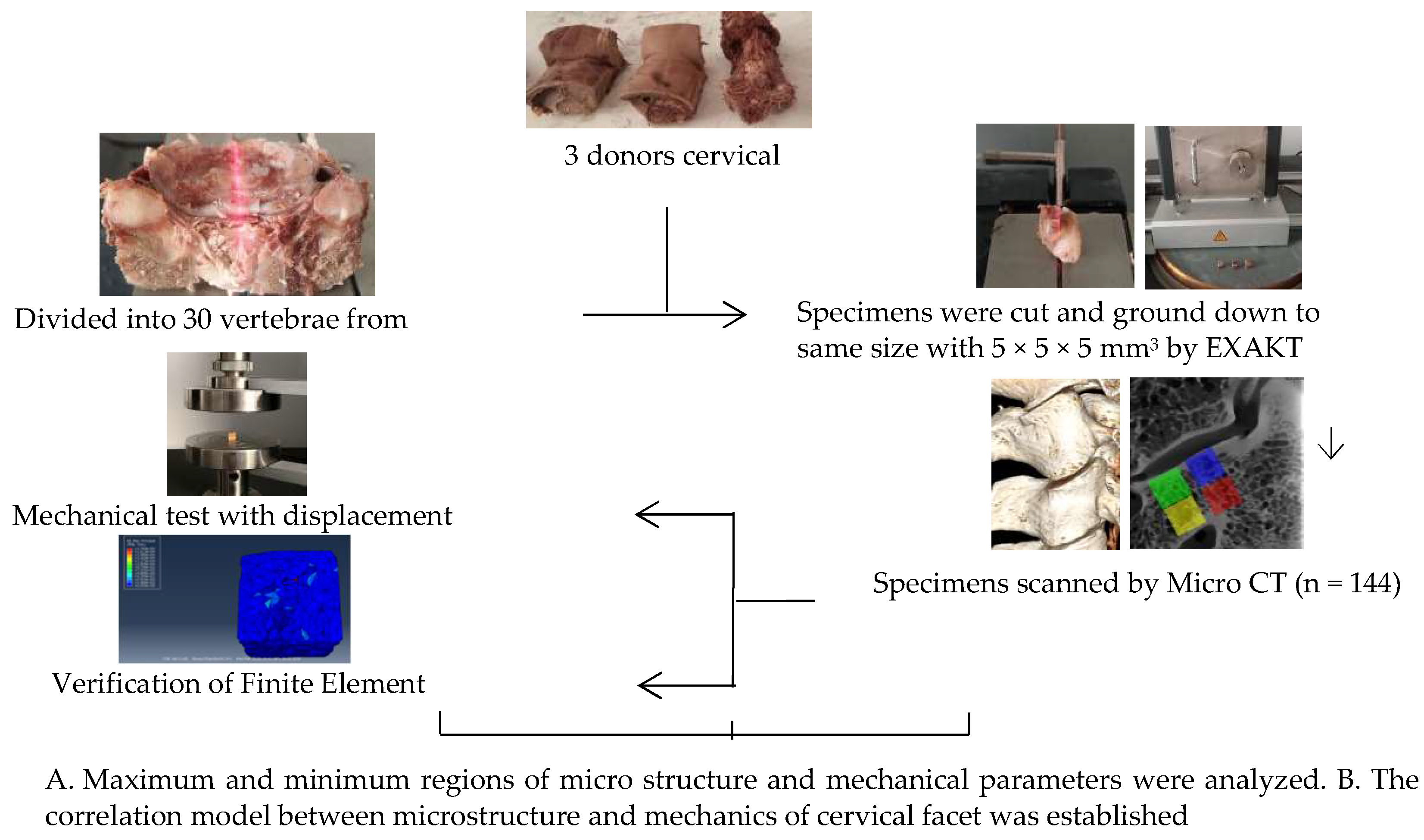 Materials 14 06409 g001
