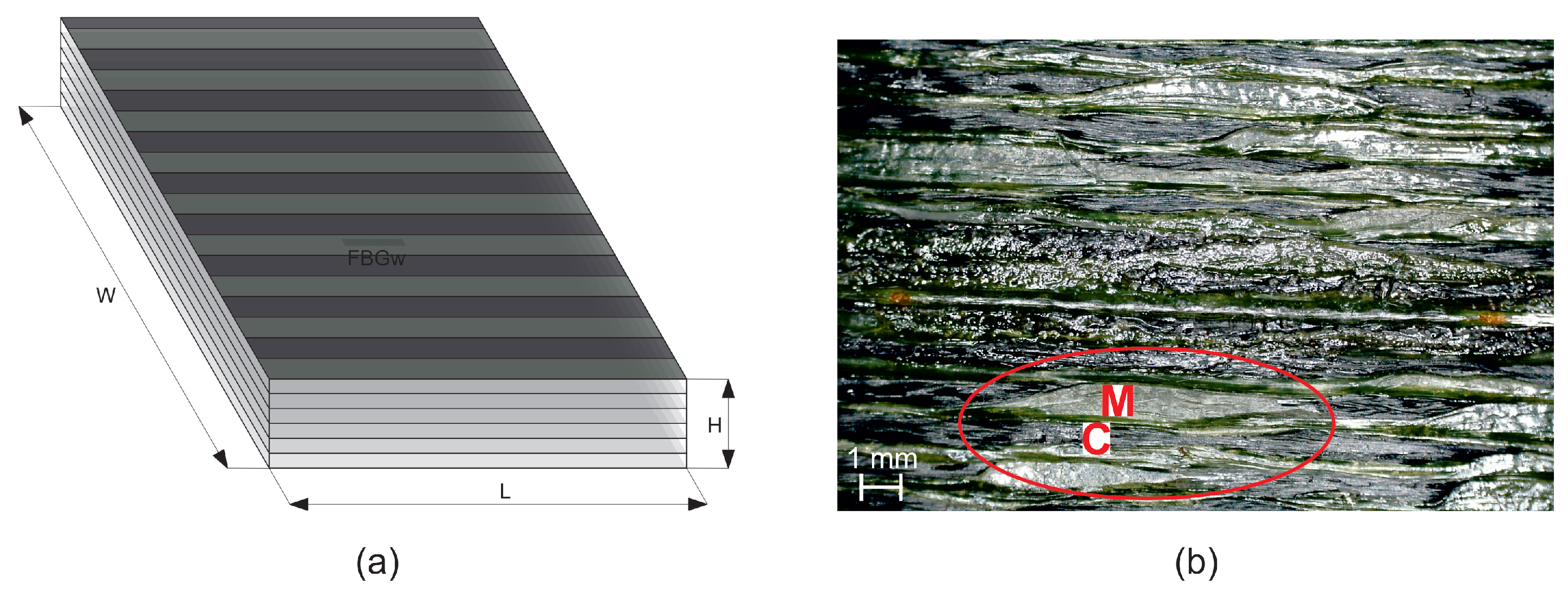 Materials 14 06413 g002