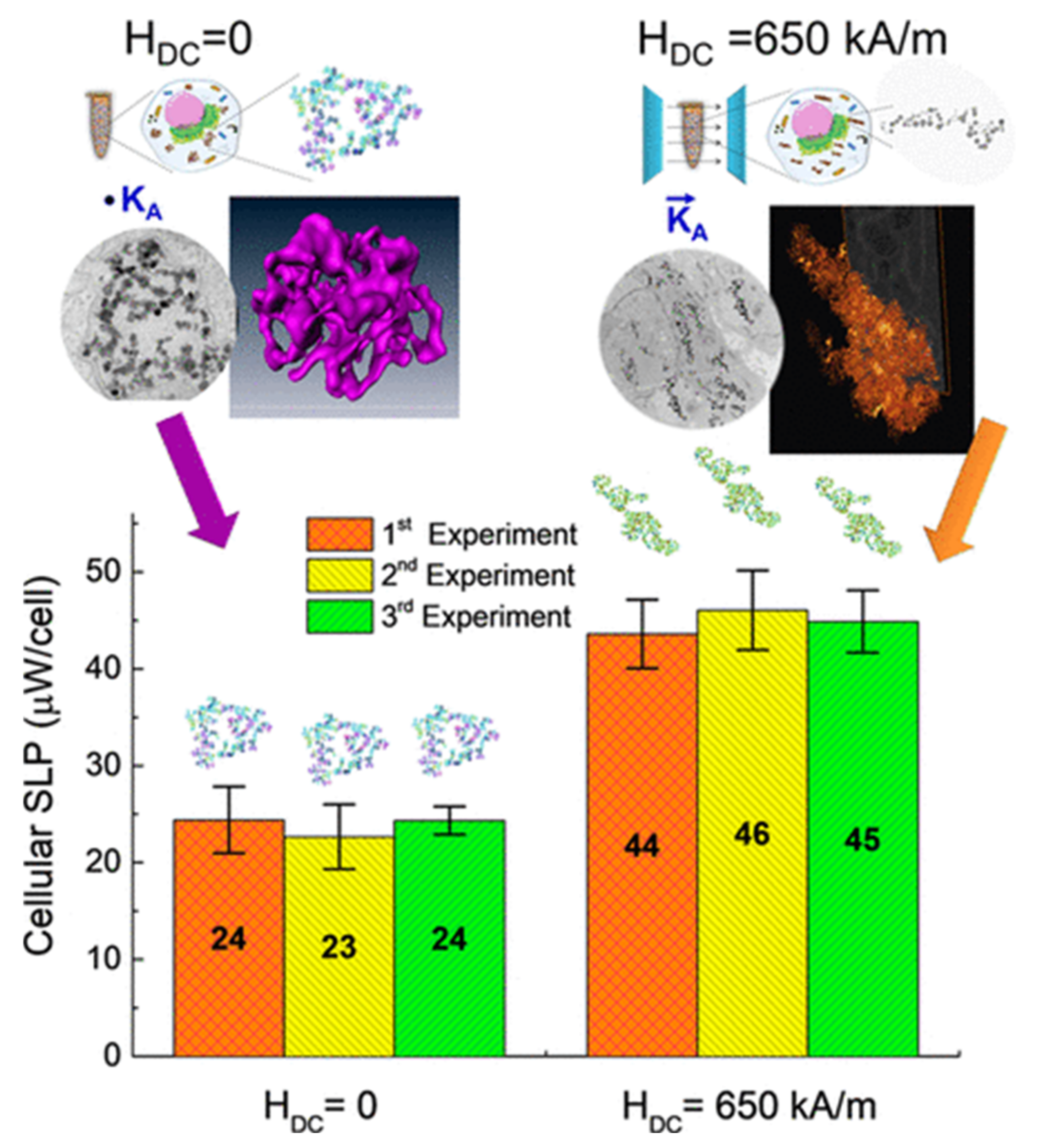 Materials 14 06416 g009 Materials 14 06416 g009