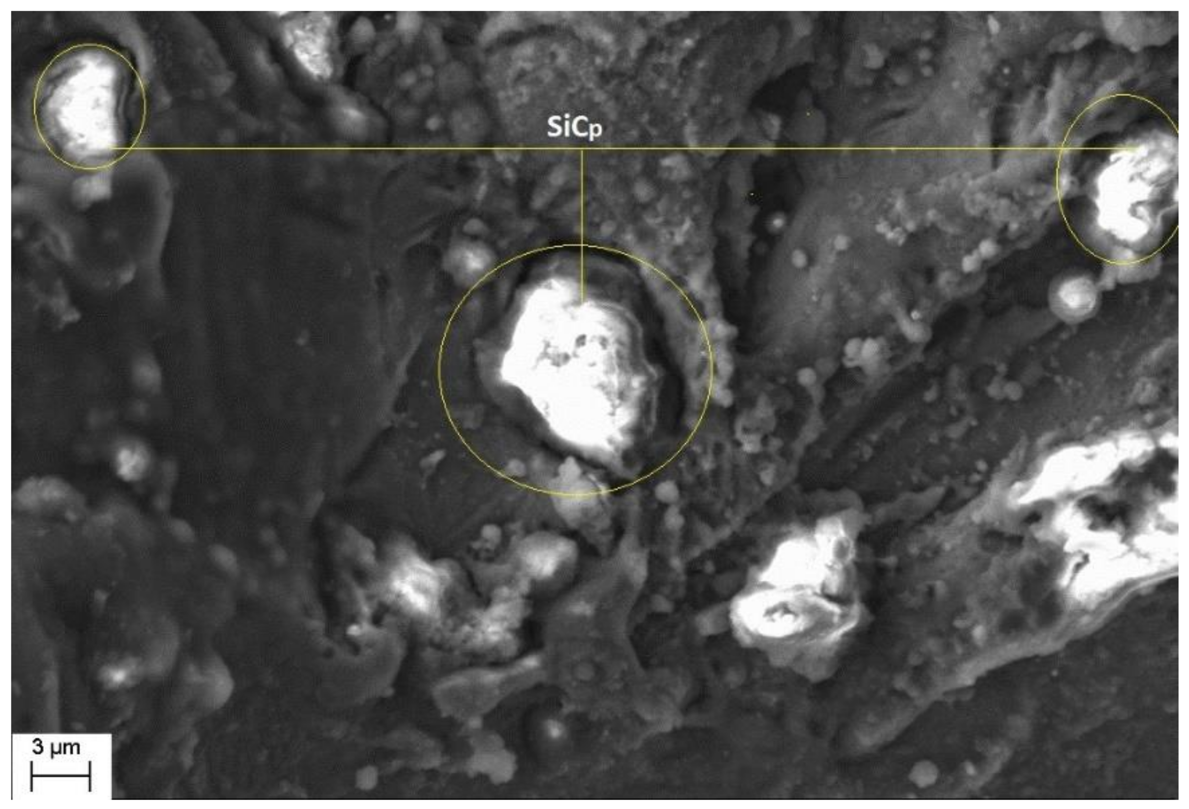 Materials 14 06420 g010