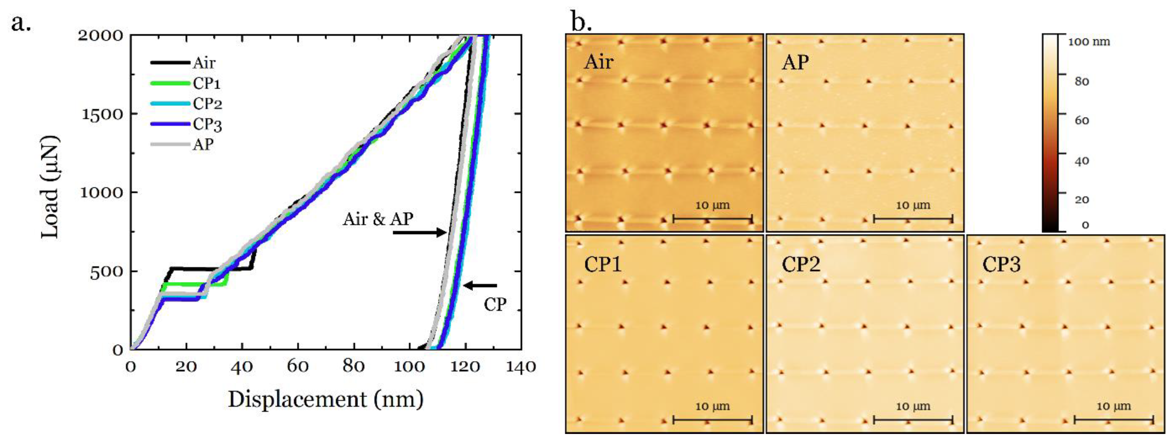Materials 14 06426 g006