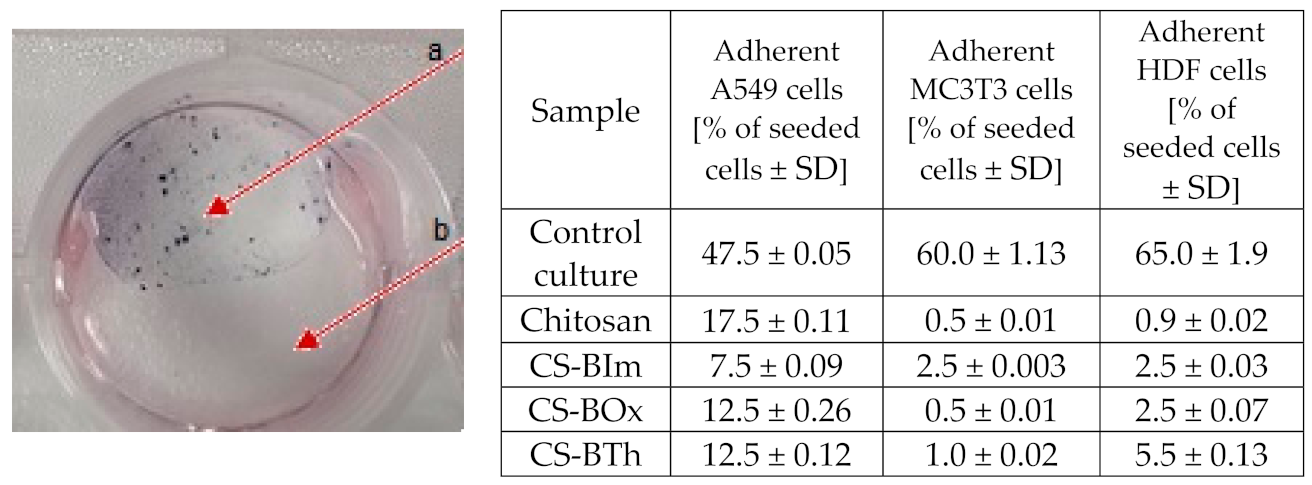 Materials 14 06429 g007