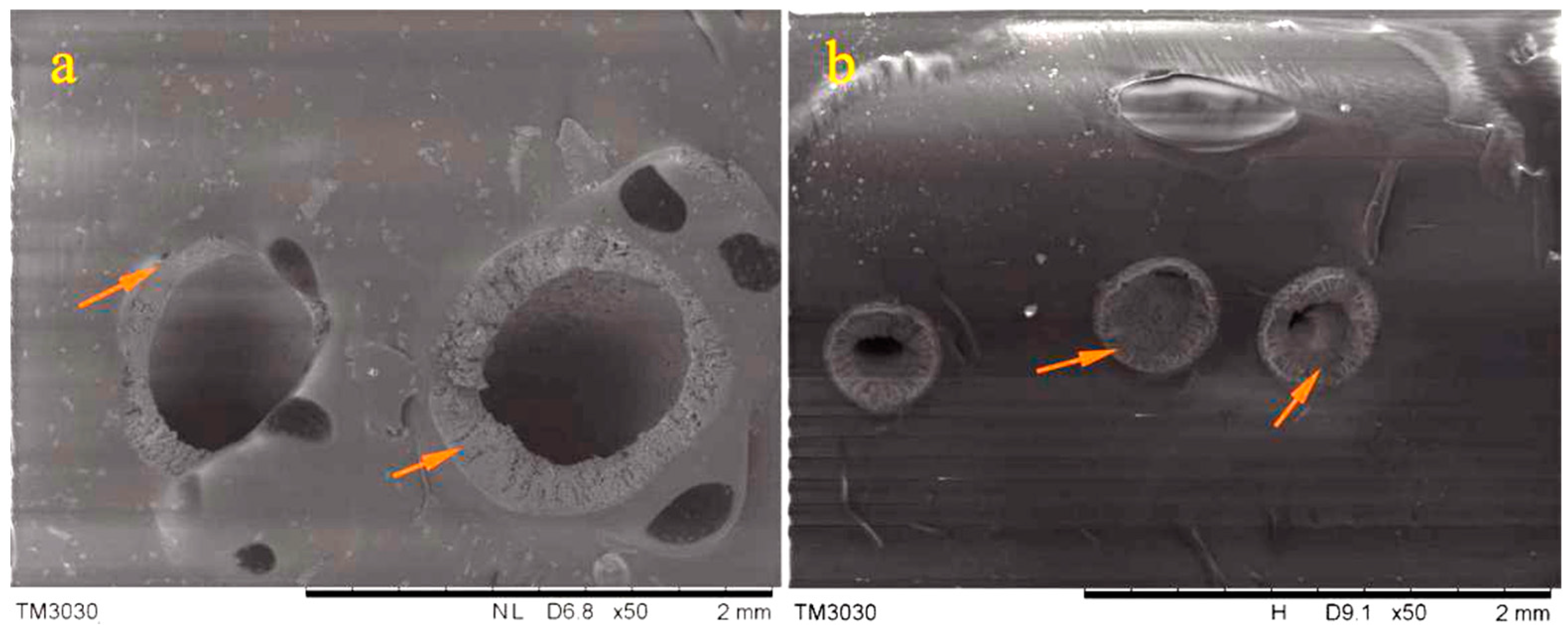 Materials 14 06431 g004