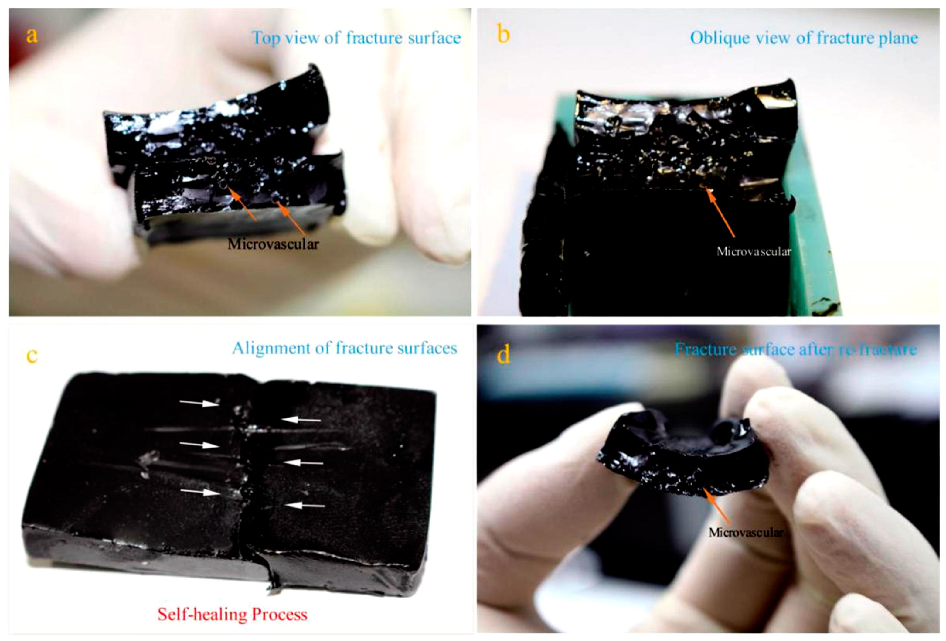 Materials 14 06431 g006