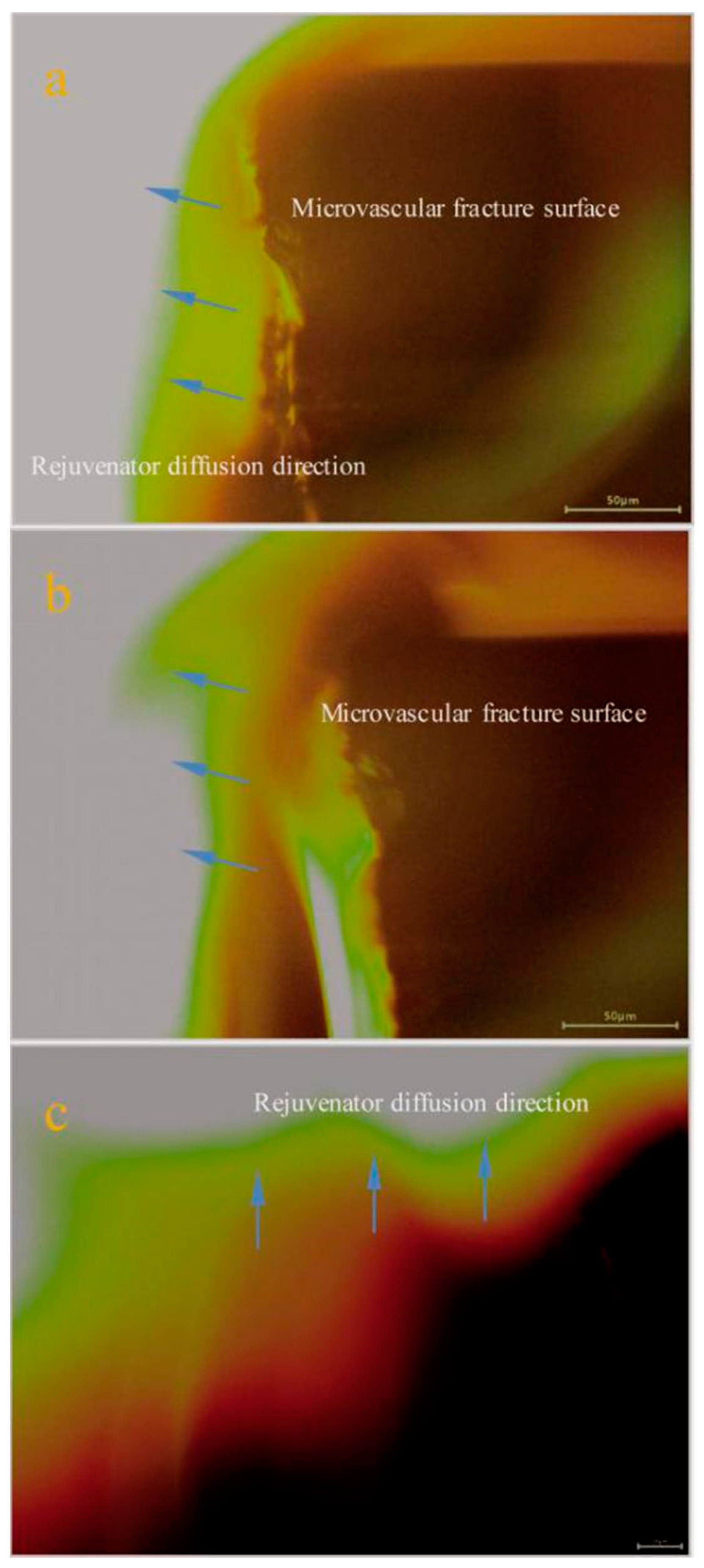 Materials 14 06431 g007