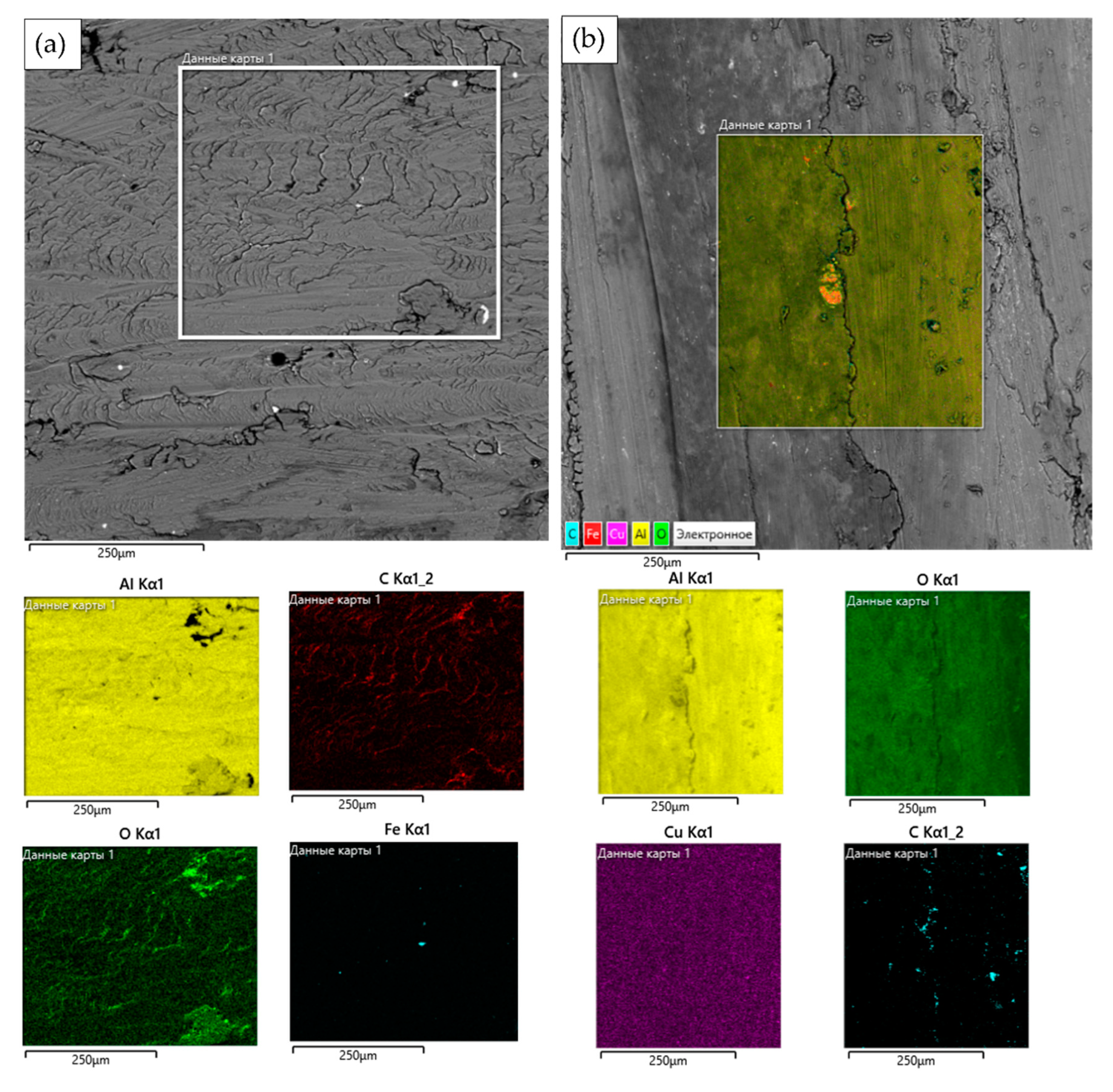 Materials 14 06438 g010