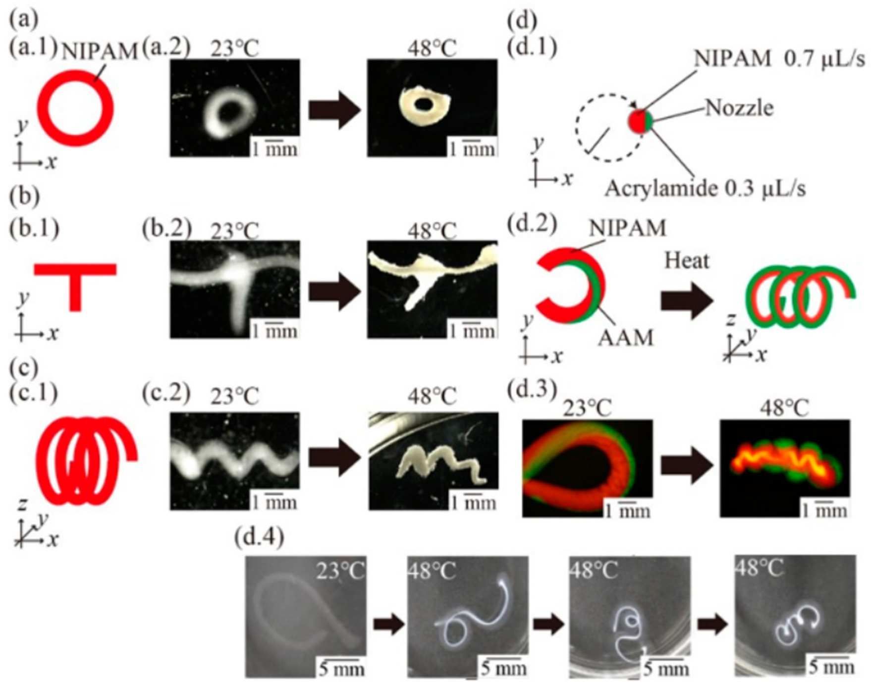 Materials 14 06442 g007
