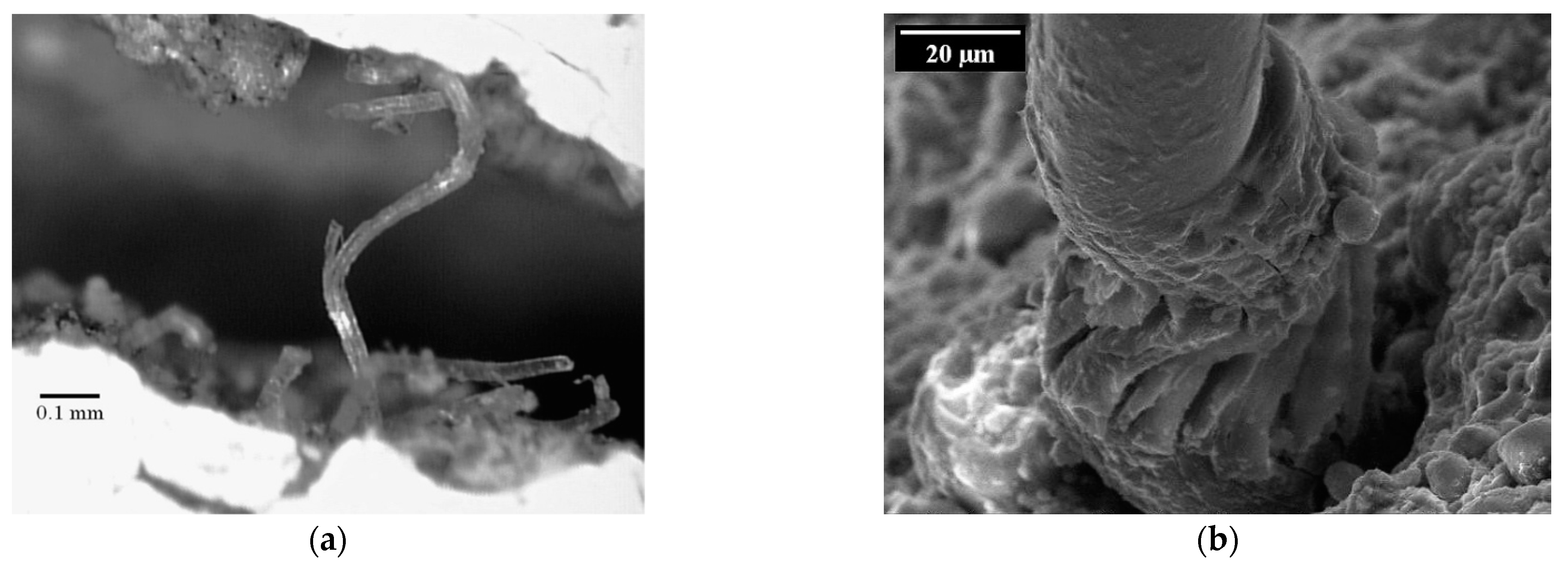 Materials 14 06444 g010